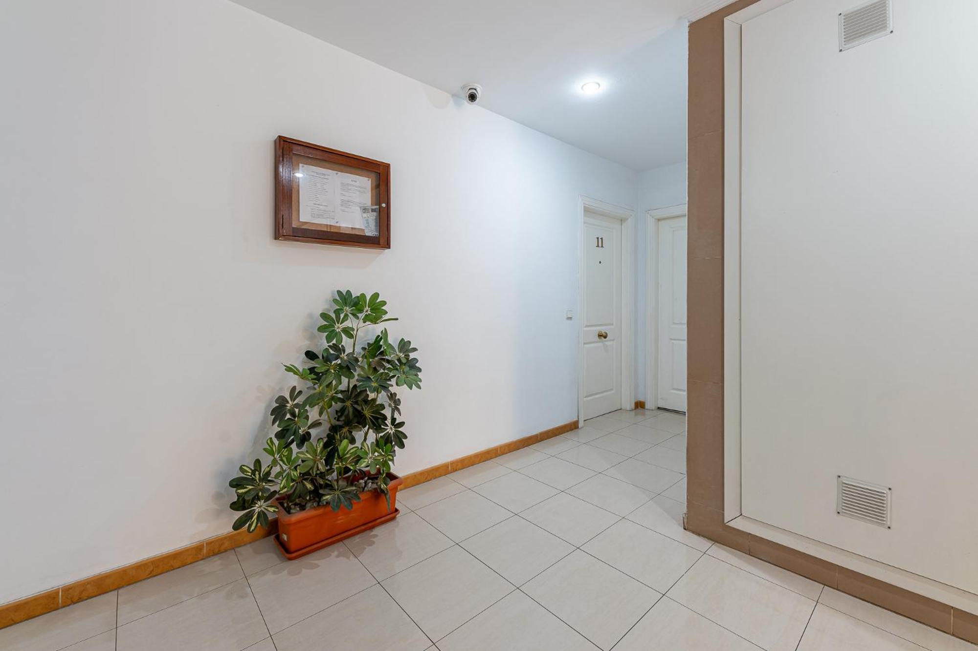 Beautiful 2 Bed Apartment Los Pacos view 4