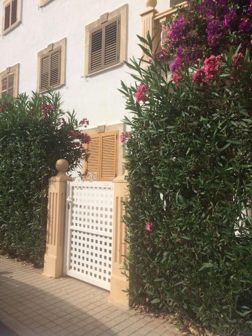 Apartamento Bajo en primera línea de playa Denia