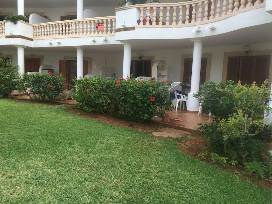 Apartamento Bajo en primera línea de playa Denia