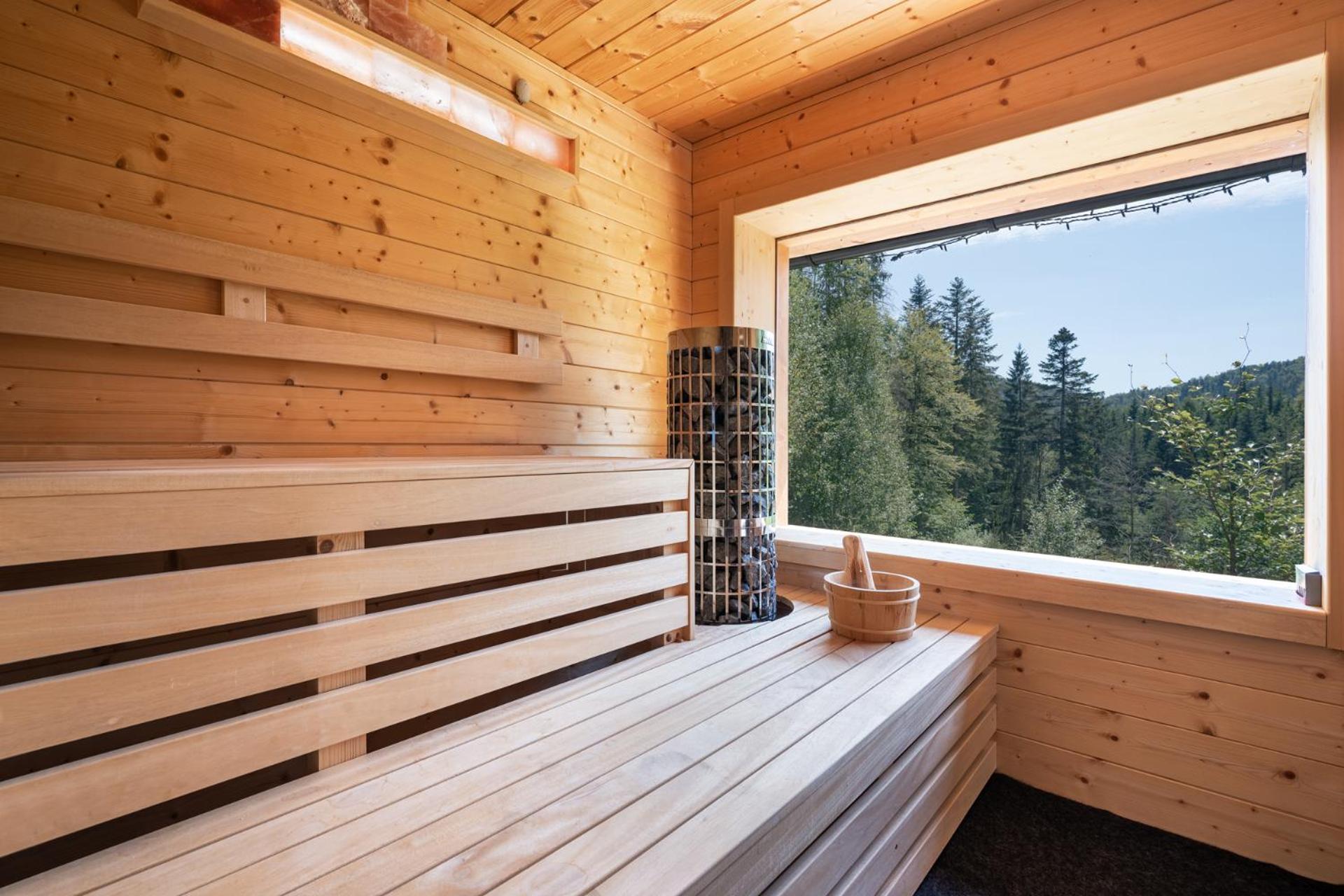 Wellness Chalet Piros Tale - Chopok South view 2