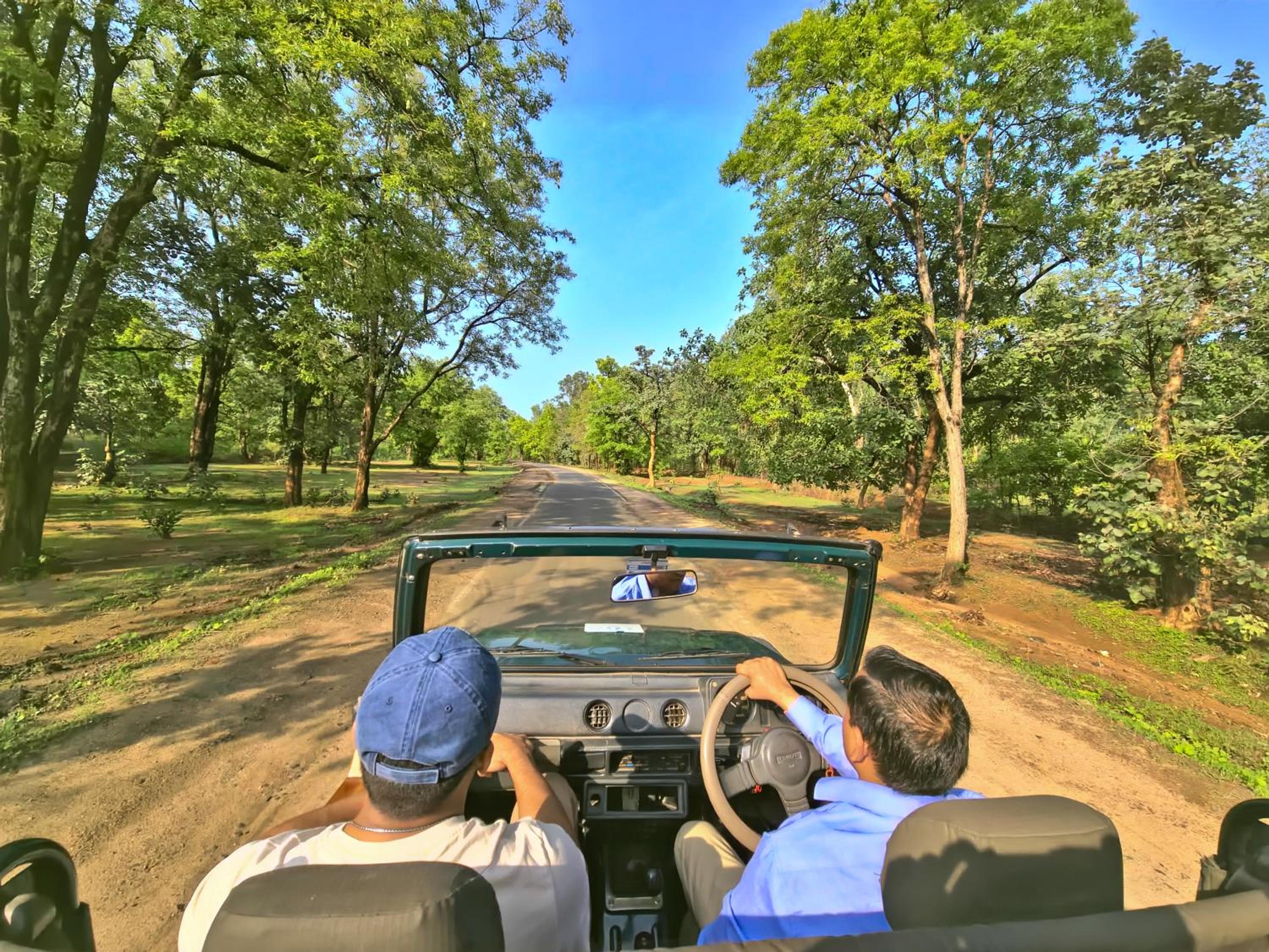 Tathastu Bandhavgarh
