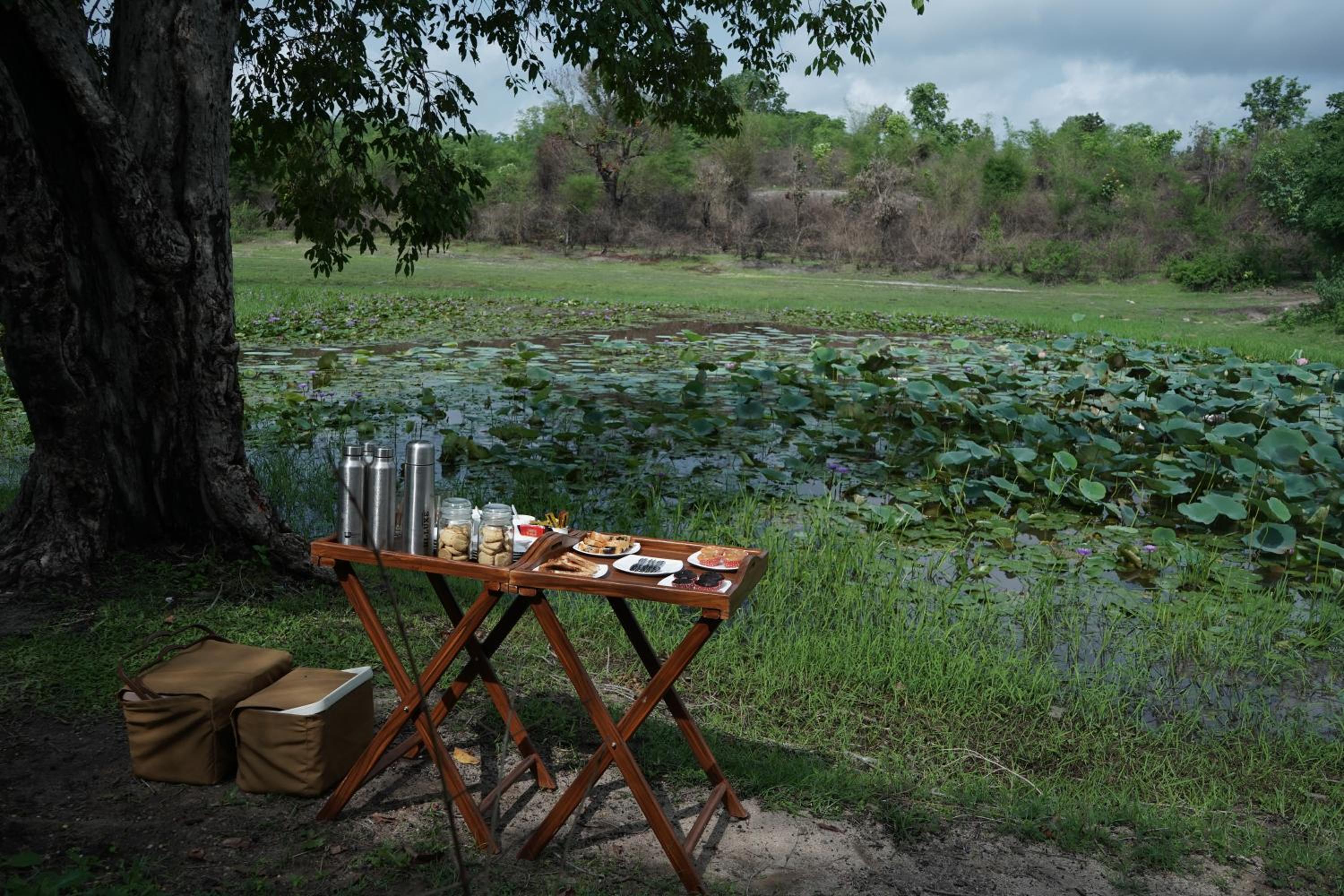 Tathastu Bandhavgarh