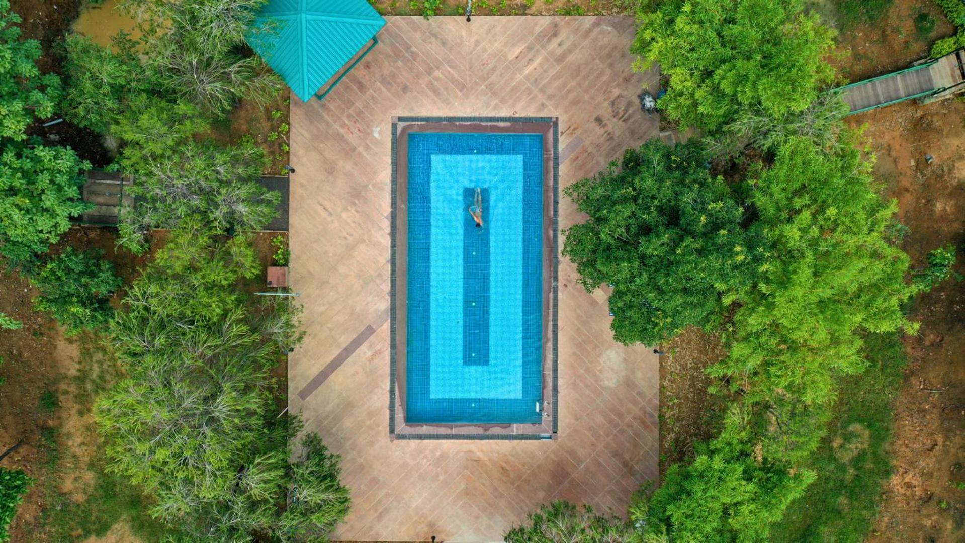 Tathastu Bandhavgarh