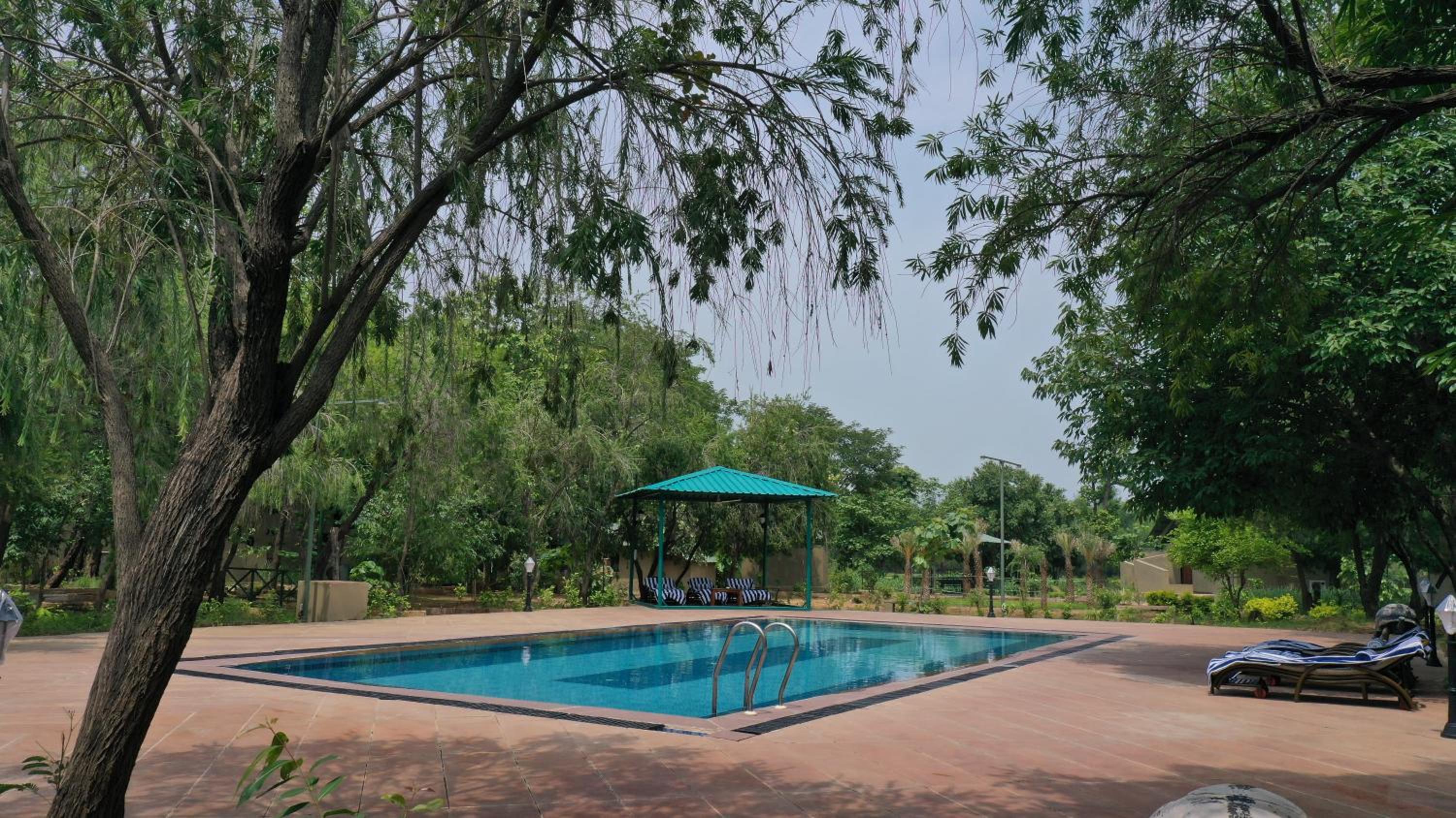 Tathastu Bandhavgarh