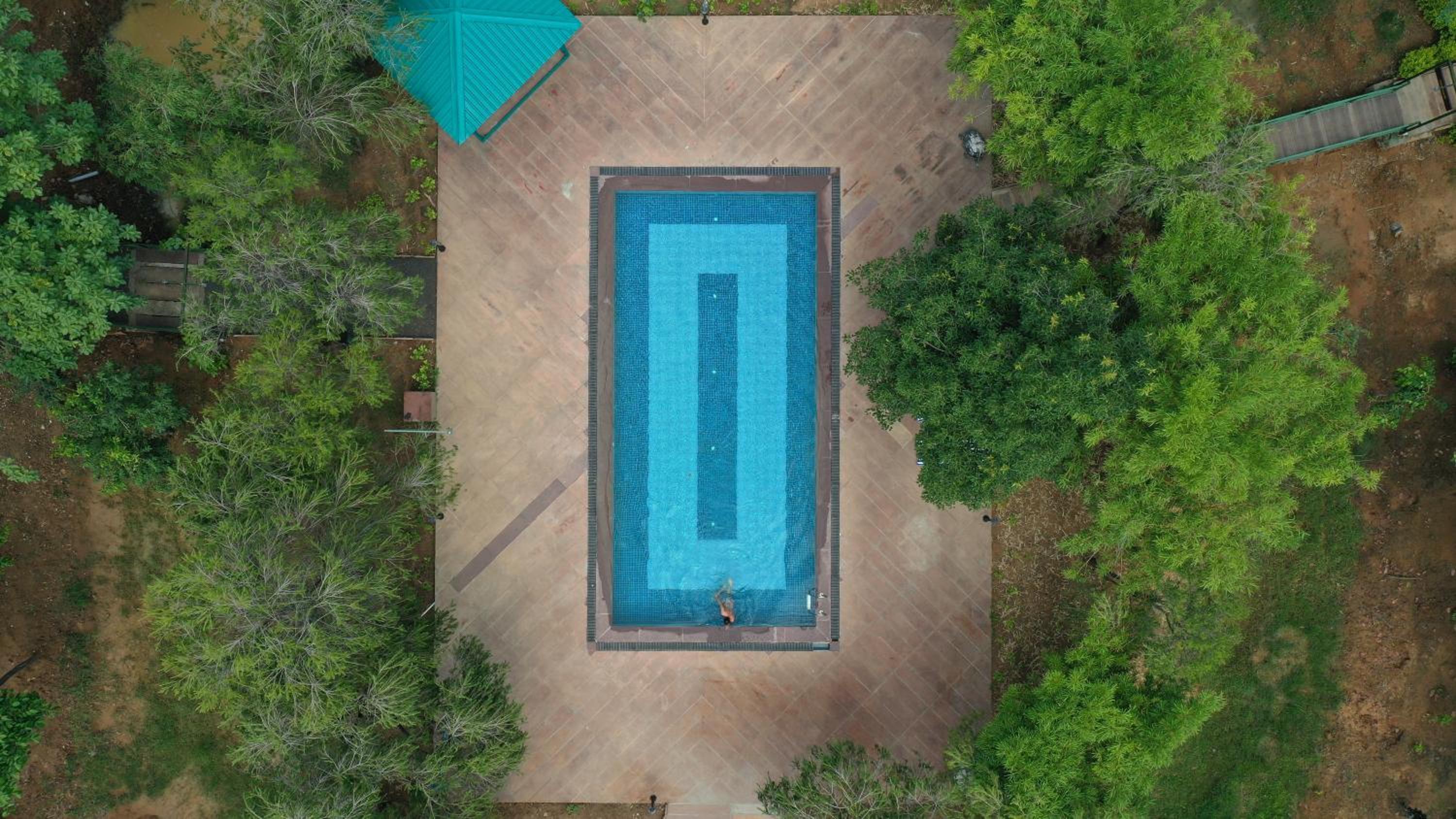 Tathastu Bandhavgarh