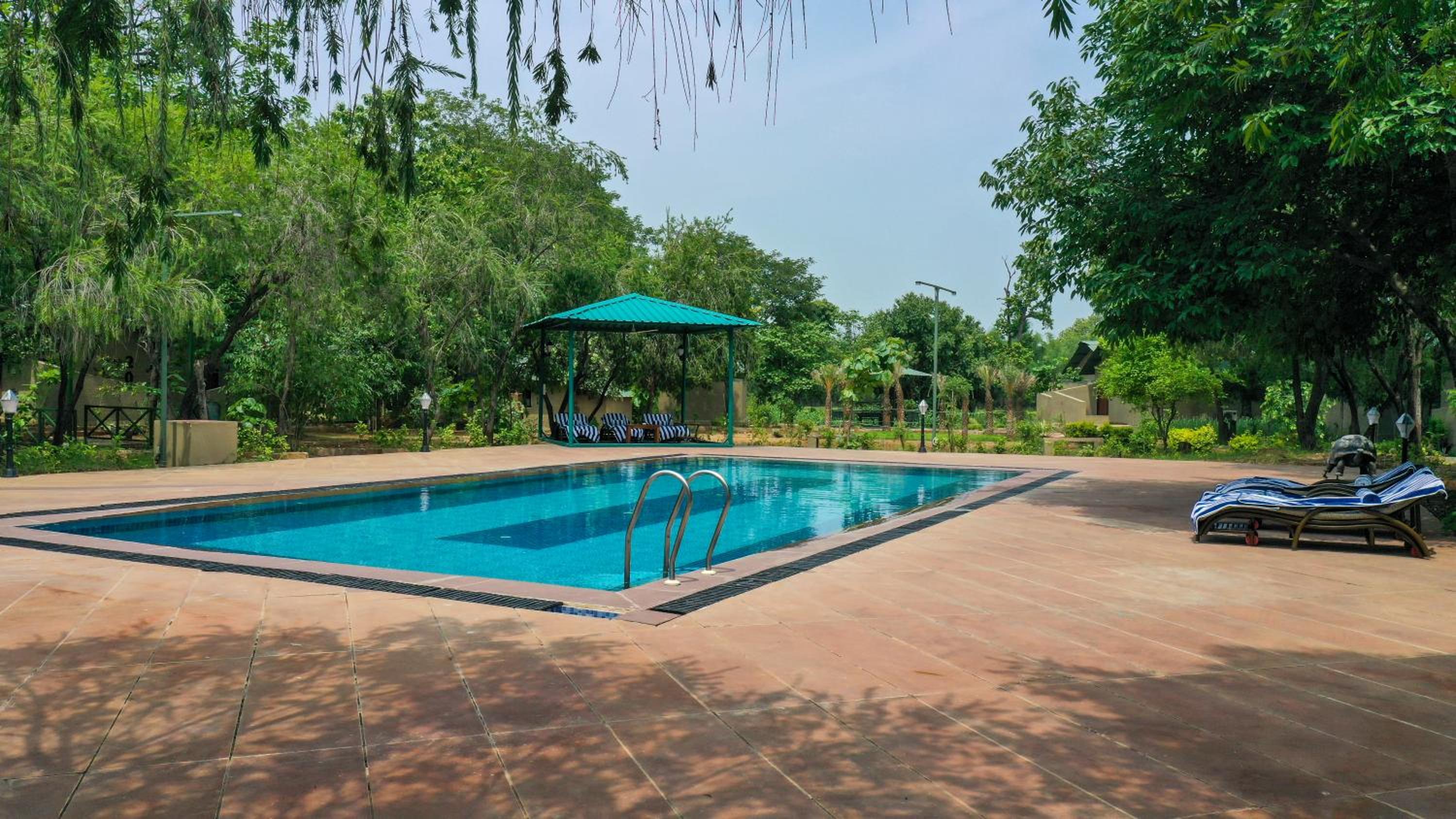 Tathastu Bandhavgarh