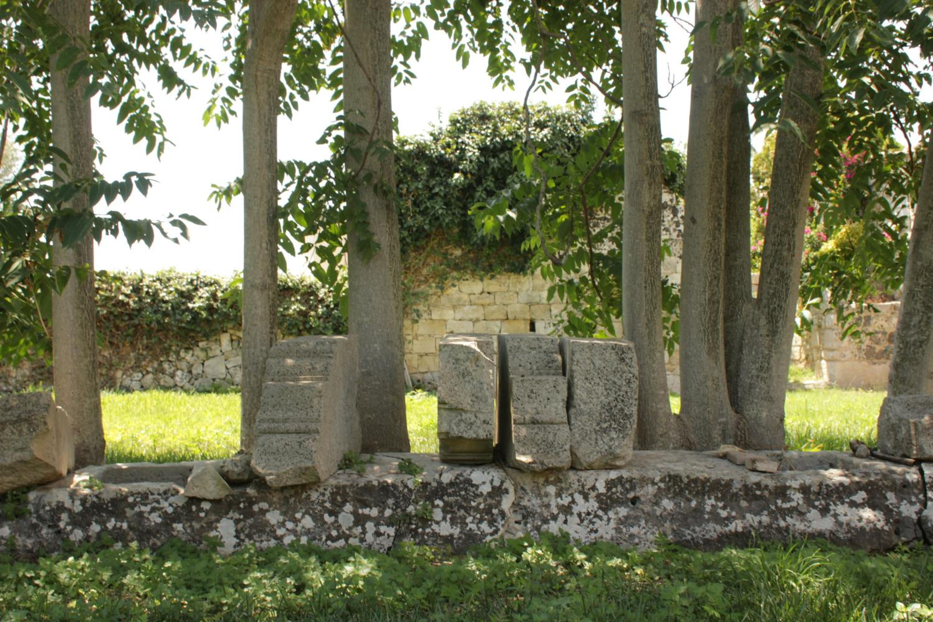 Photo 14
