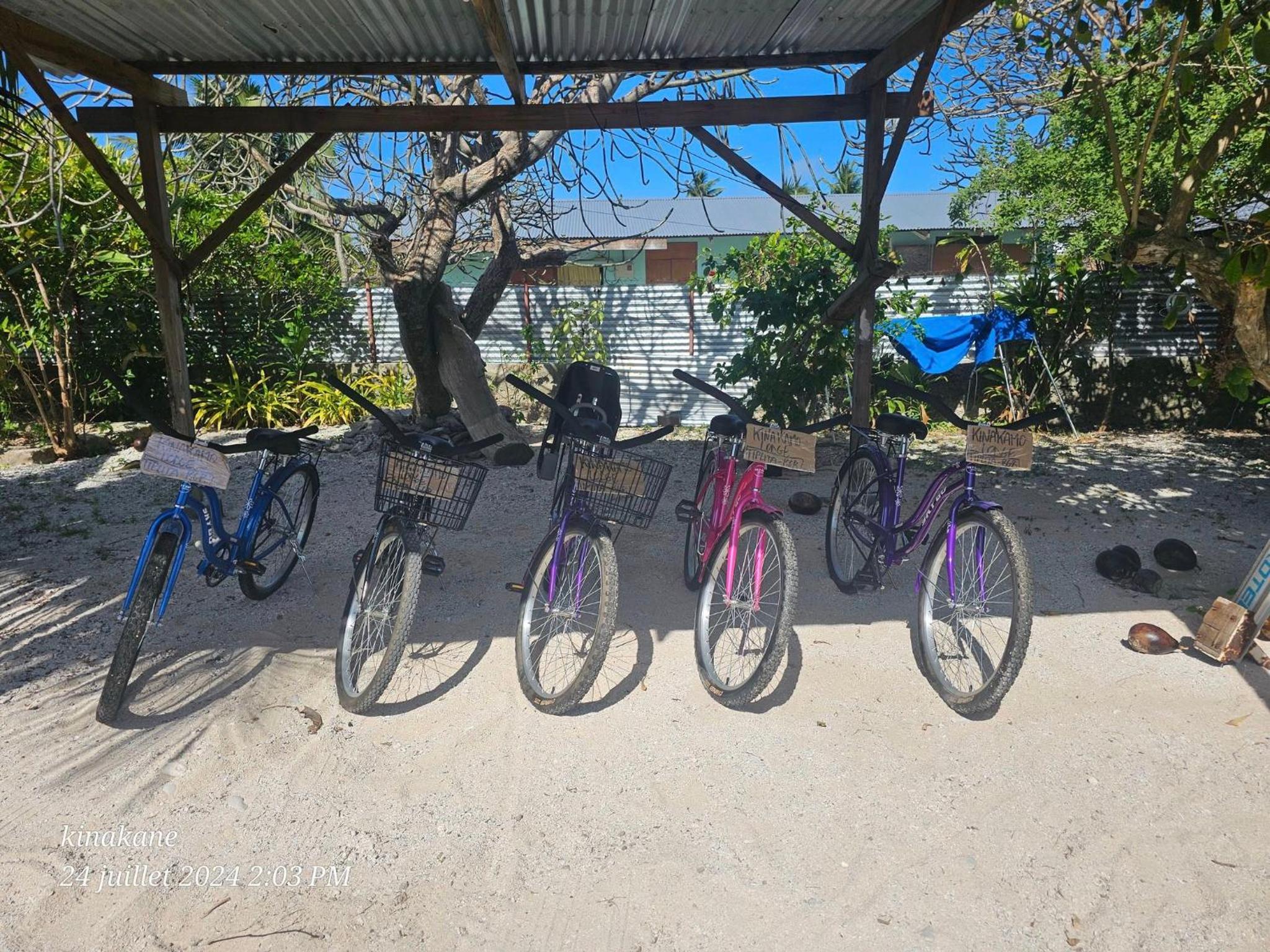 Kinakamo Lodge et Activités Rangiroa