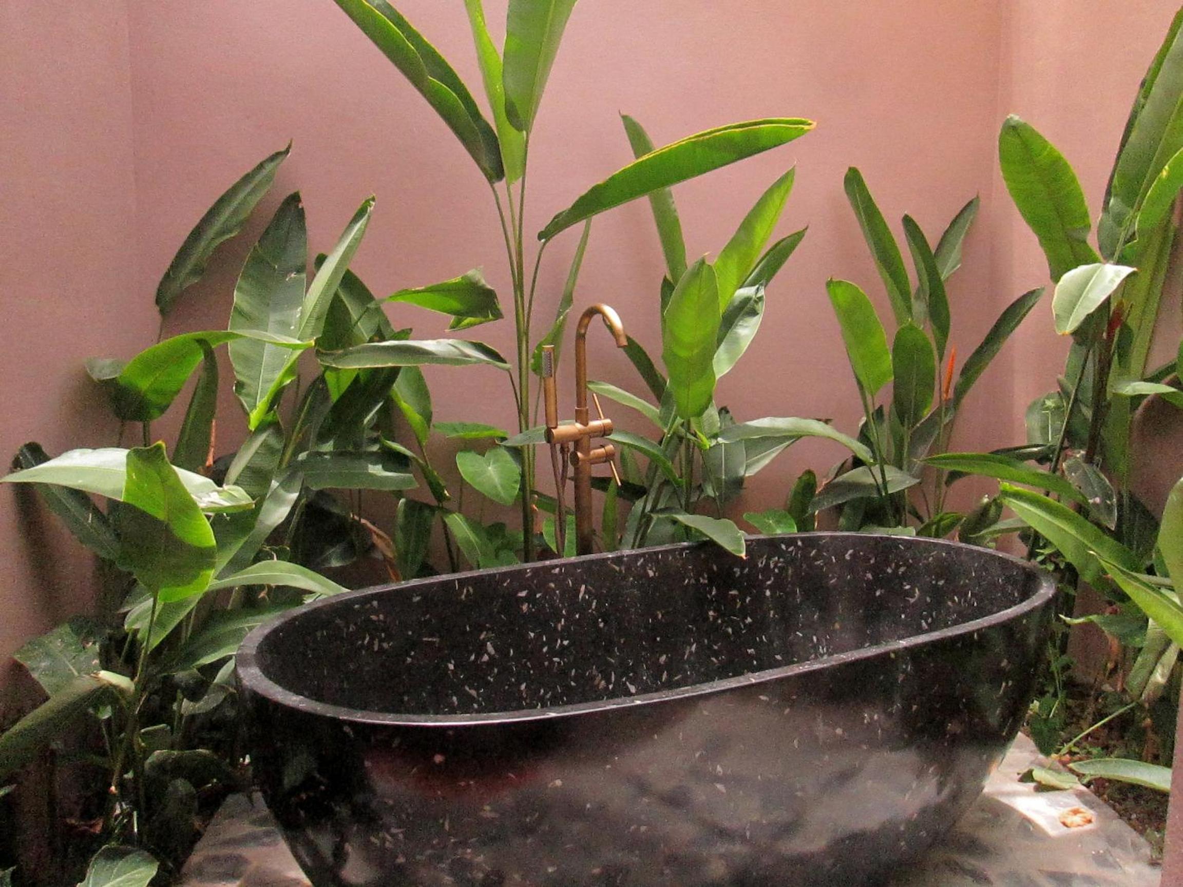 Ninh Binh Nature Homestay