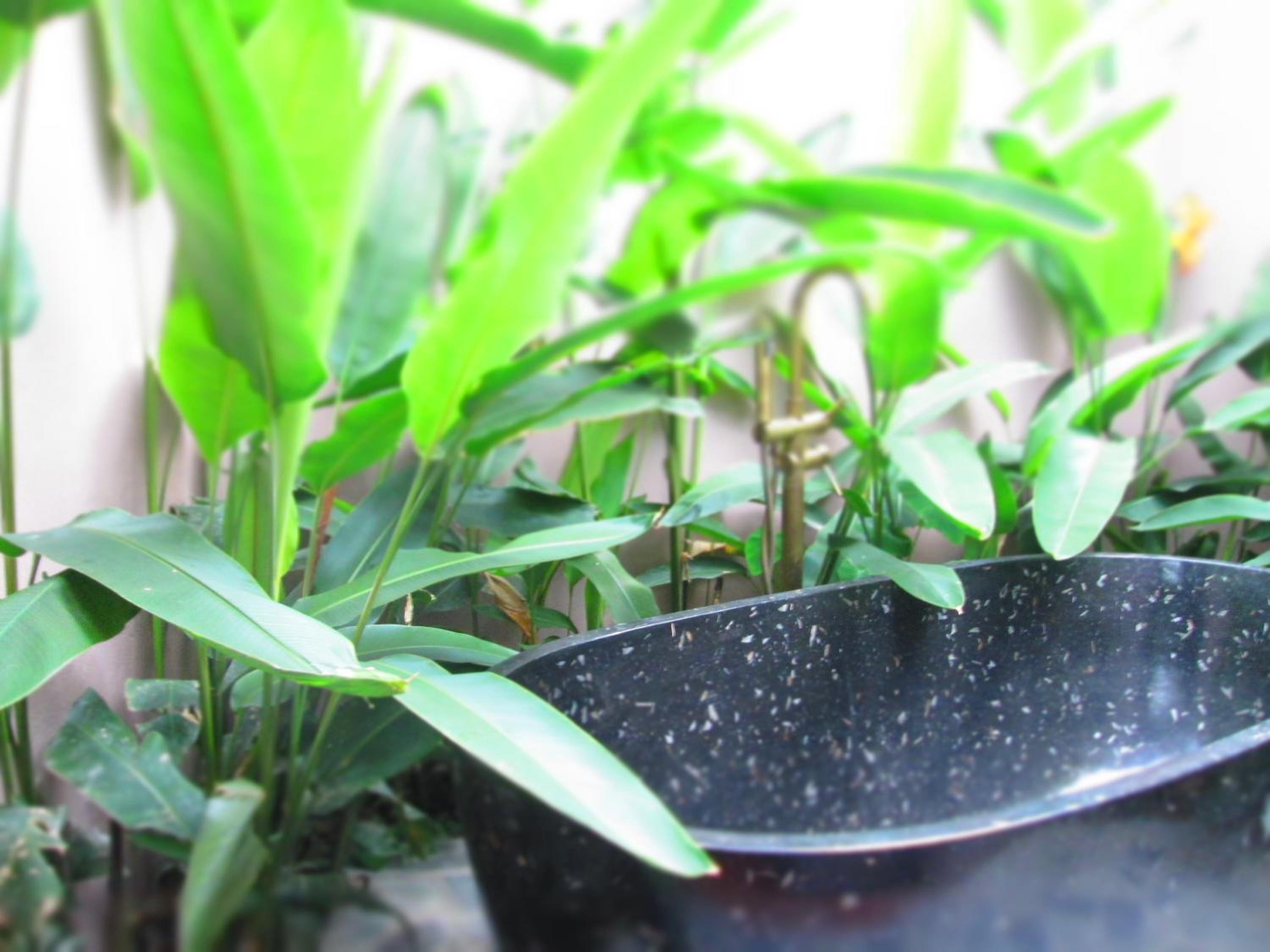 Ninh Binh Nature Homestay