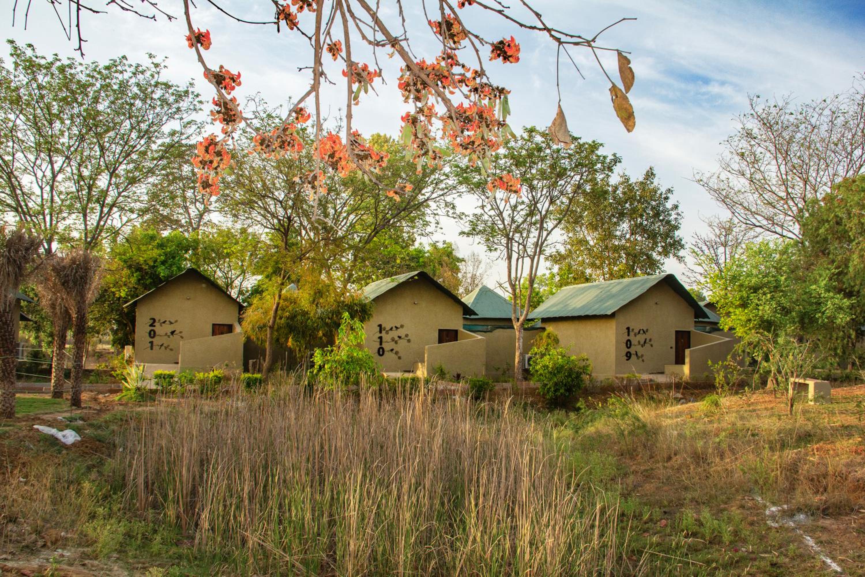 Tathastu Bandhavgarh