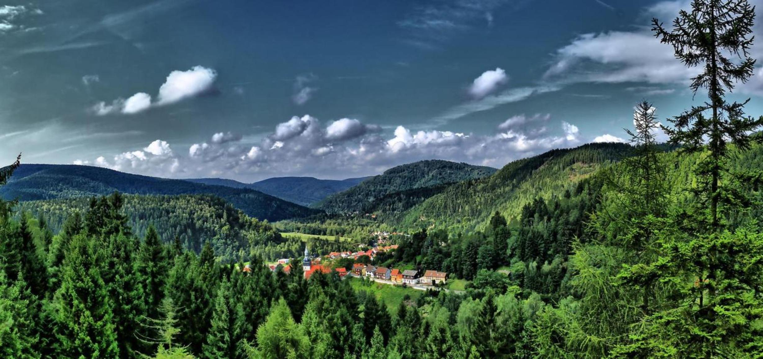 Ferienhäuser Am Waldschlößchen 2