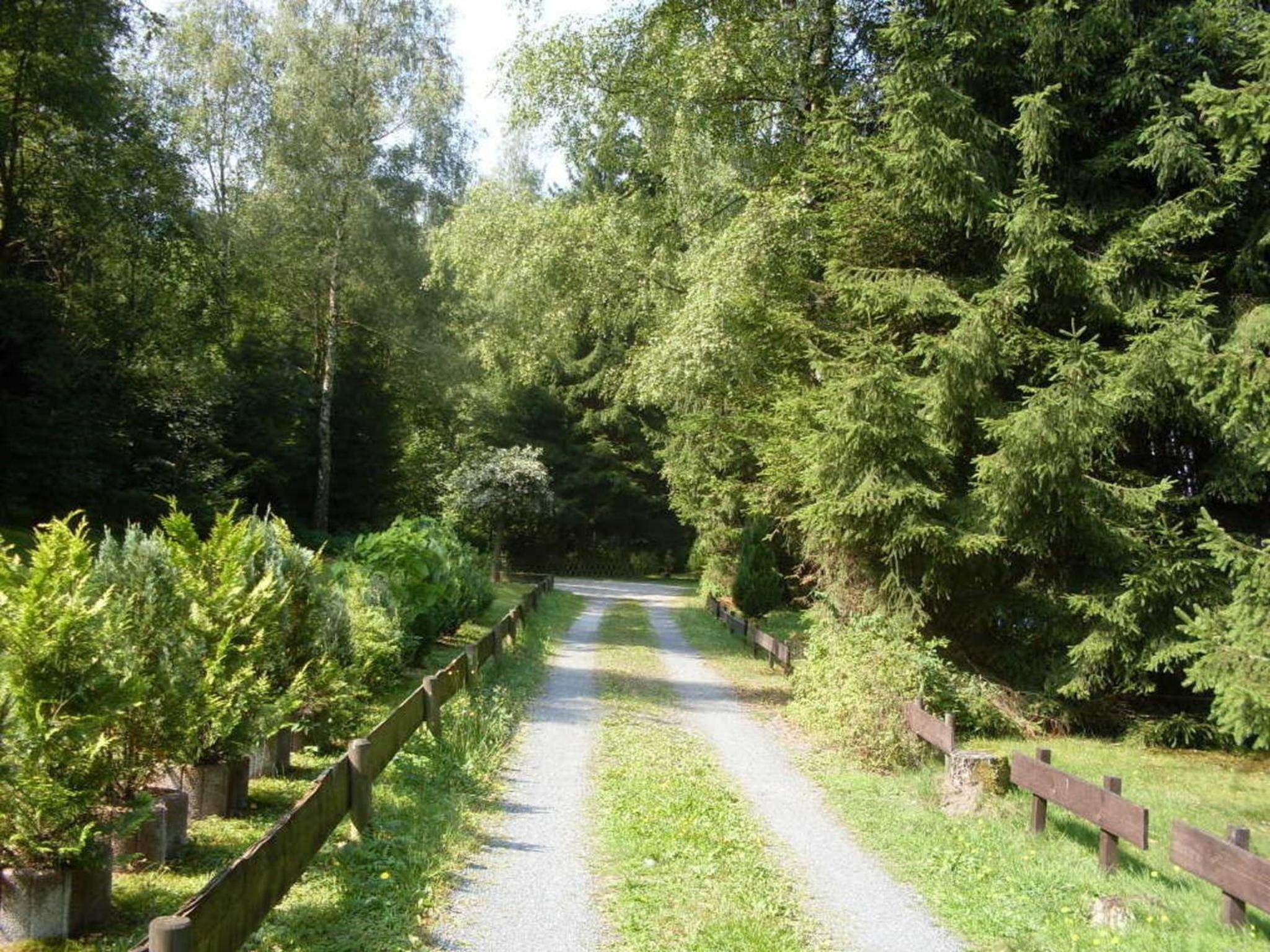 Ferienhäuser Am Waldschlößchen 1