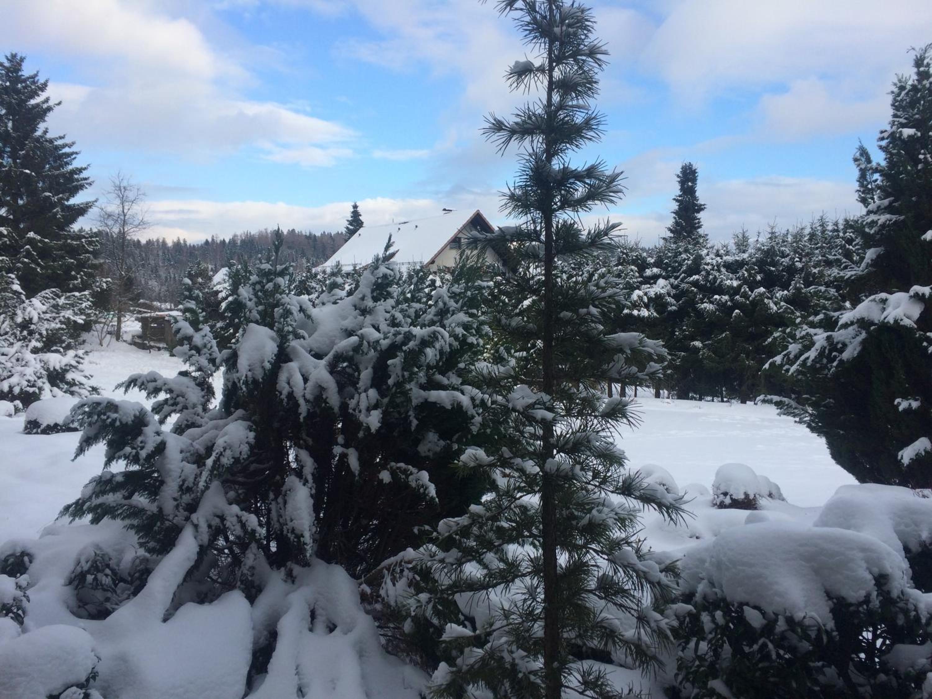 Harz Fewo Eulennestchen S1