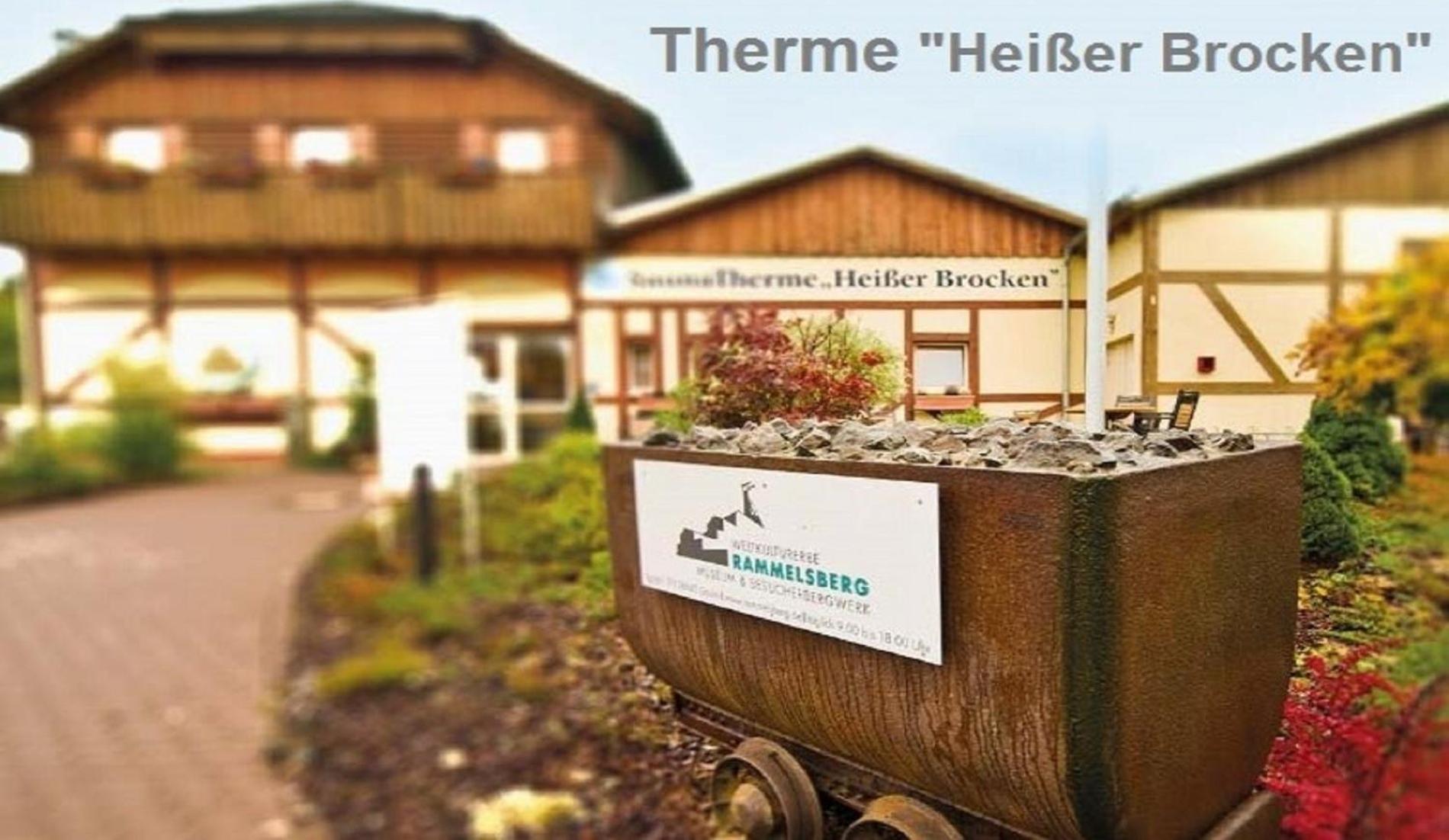 Harz Fewo Eulennestchen S1