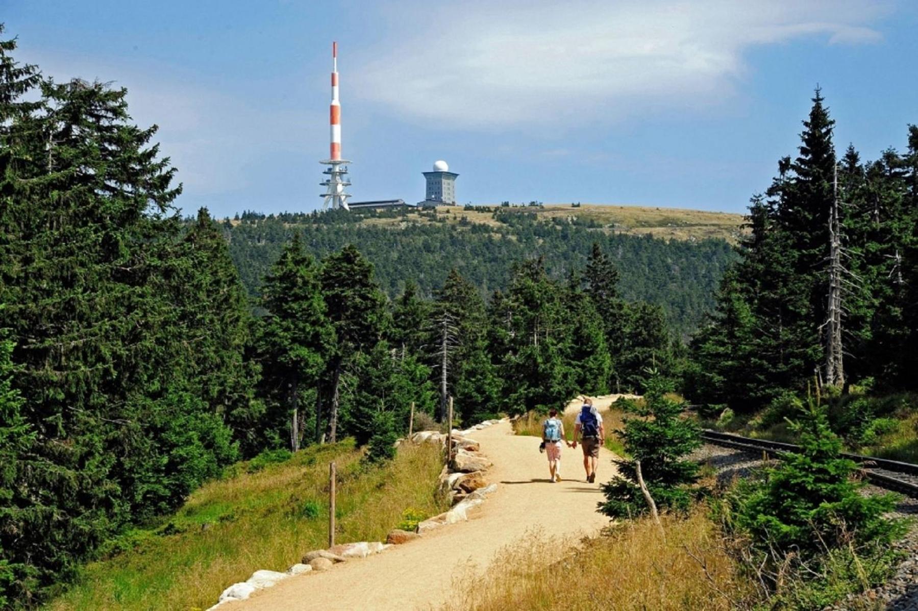 Harz Fewo Eulennestchen S1