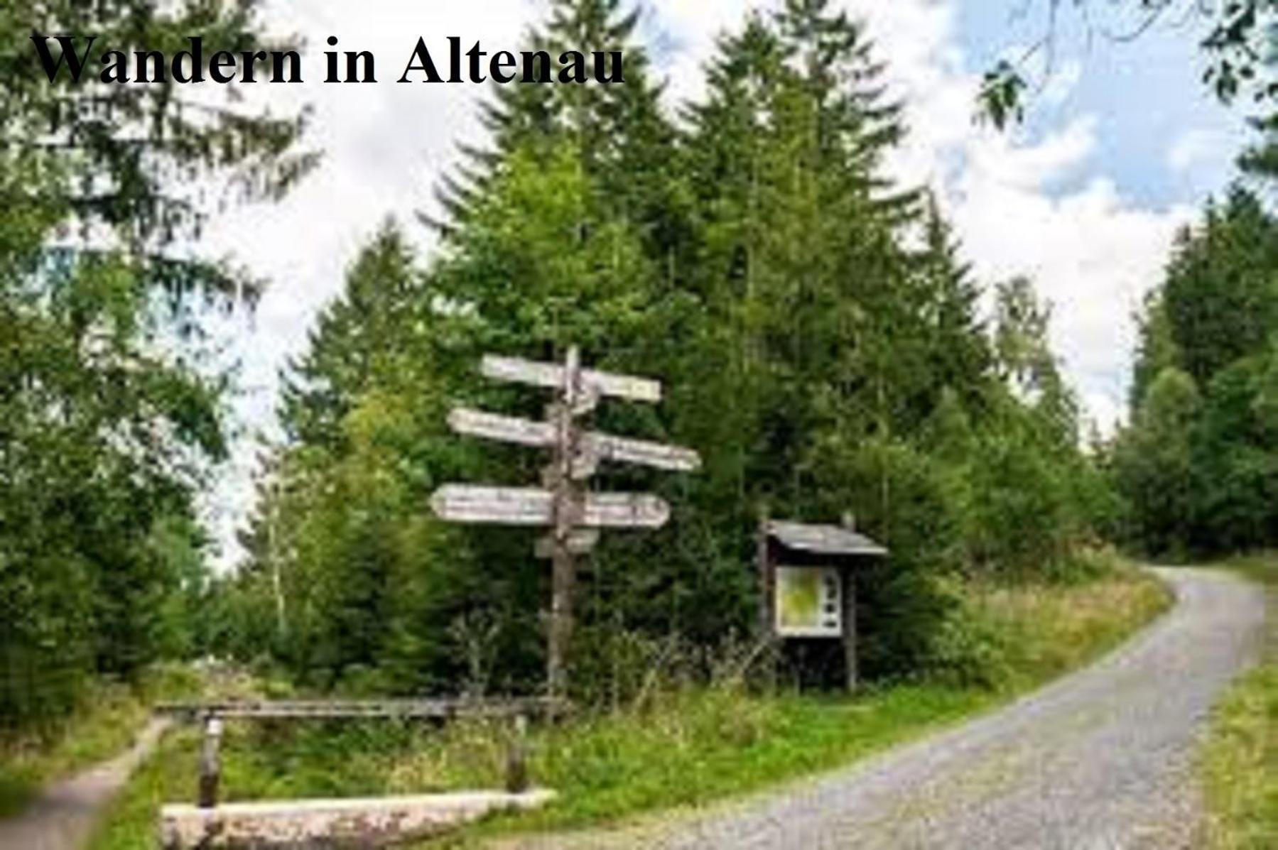 Harz Fewo Eulennestchen S1