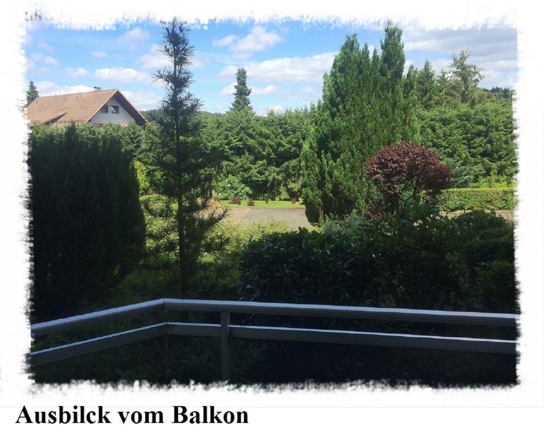 Harz Fewo Eulennestchen L2