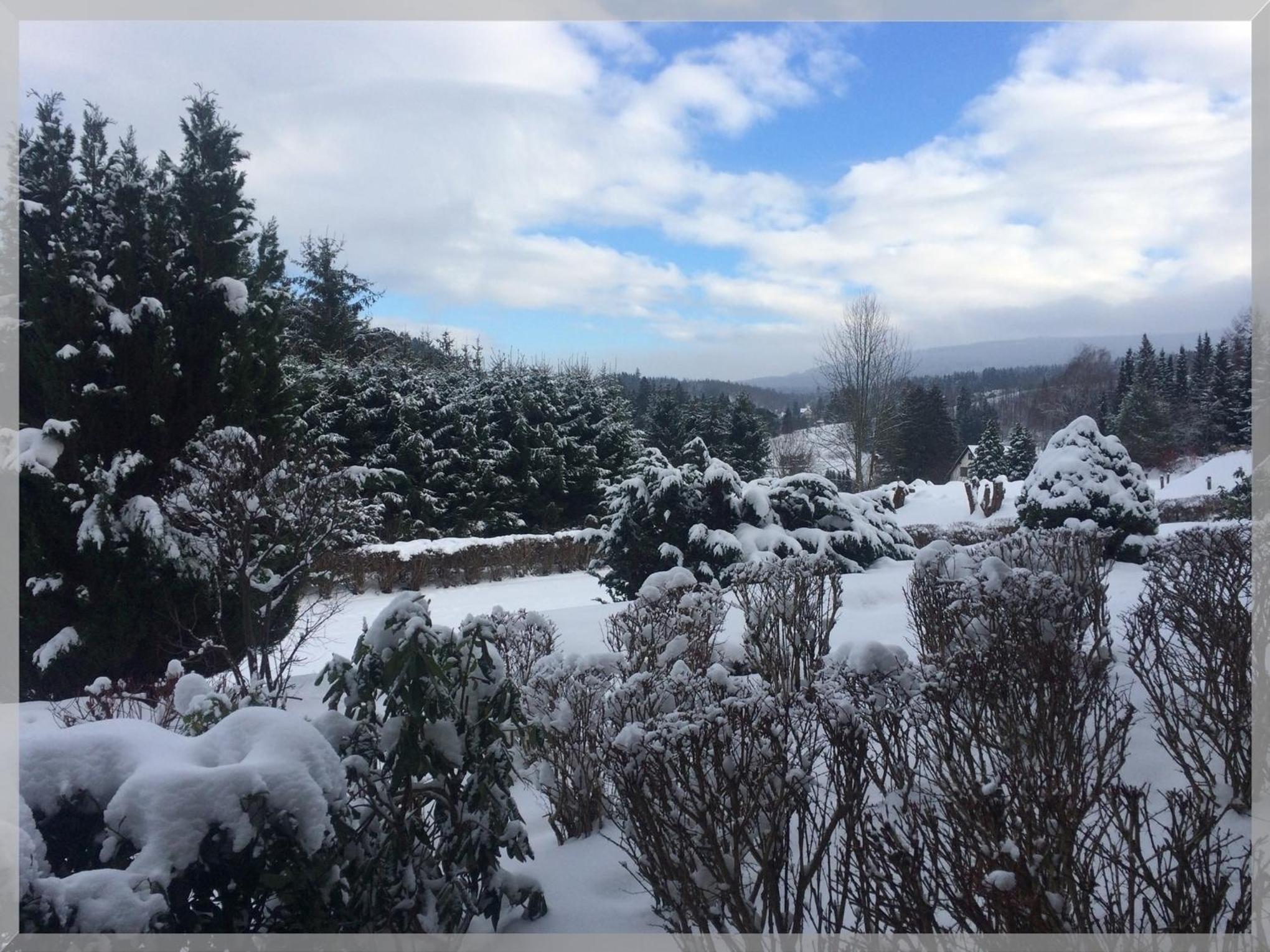 Harz Fewo Eulennestchen L2