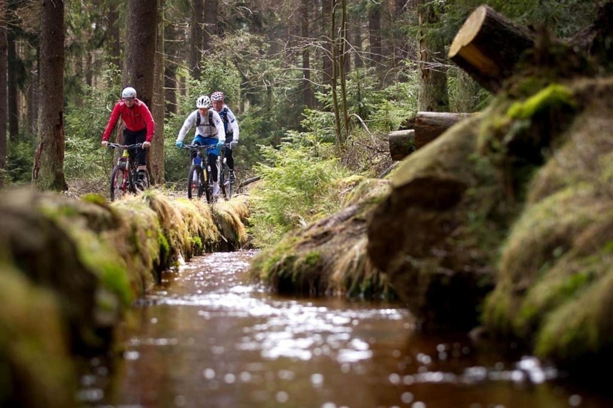 Ferienhäuser Am Waldschlößchen 1