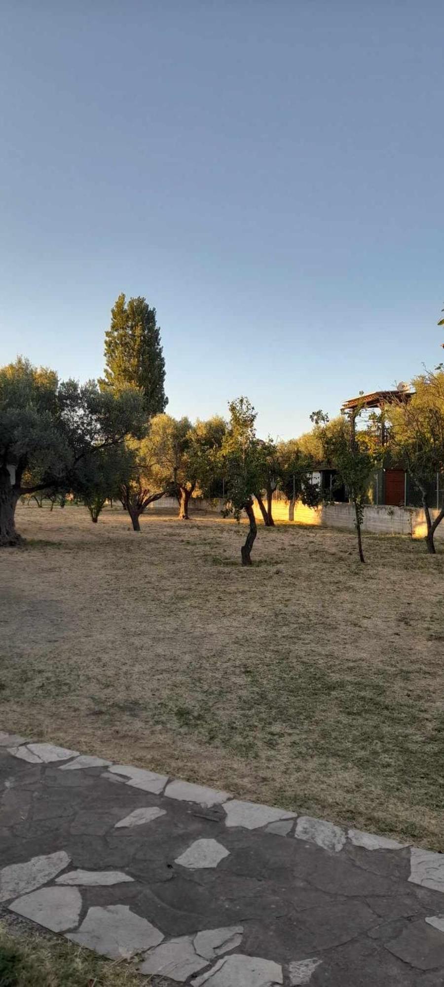 Villa Eleonas