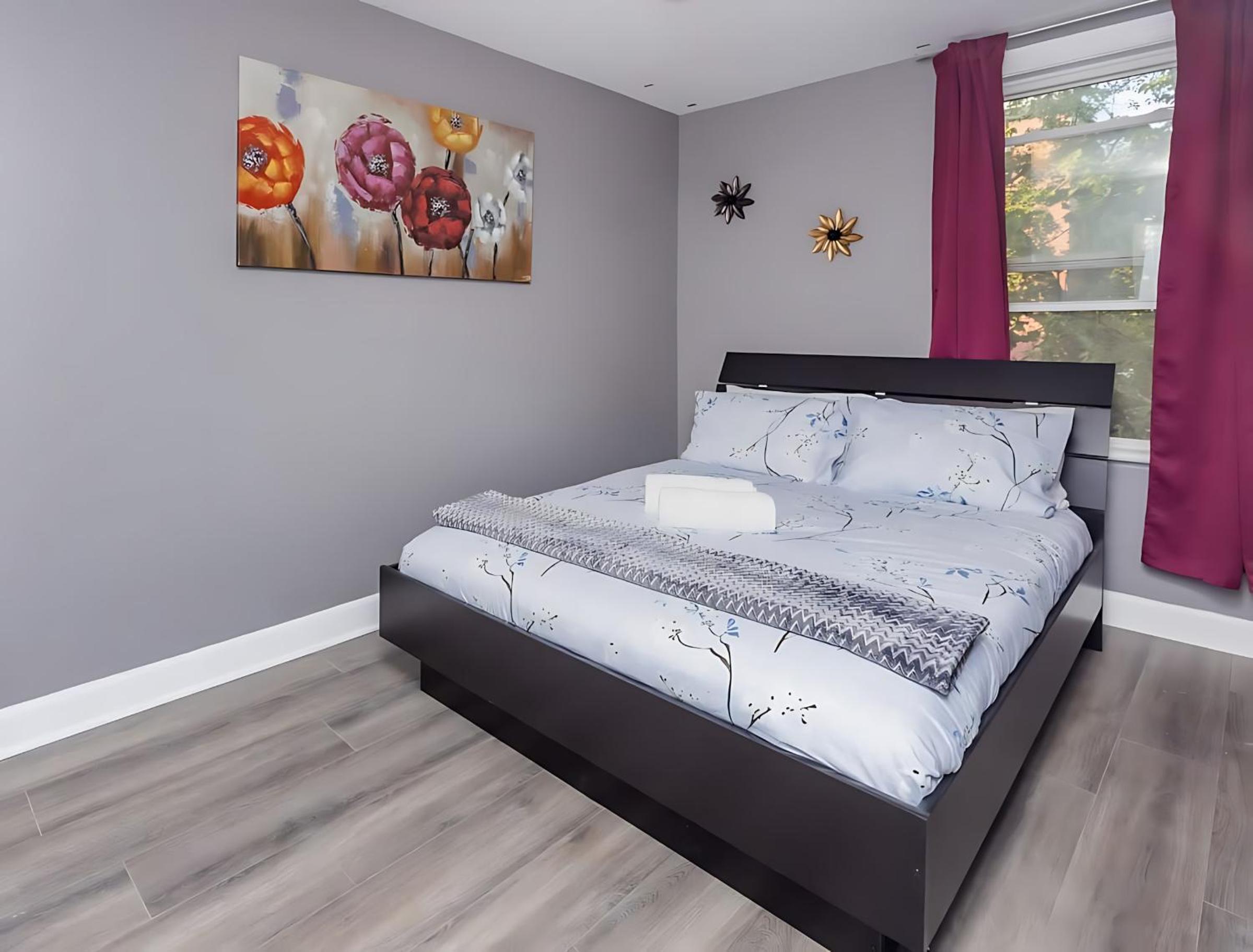 Pet-Friendly - Near University & Byward Market