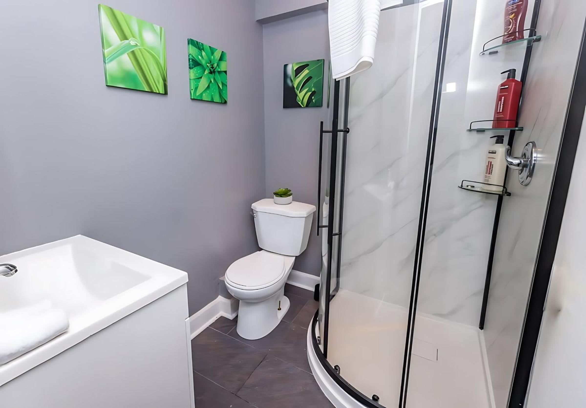 Pet-Friendly - Near University & Byward Market