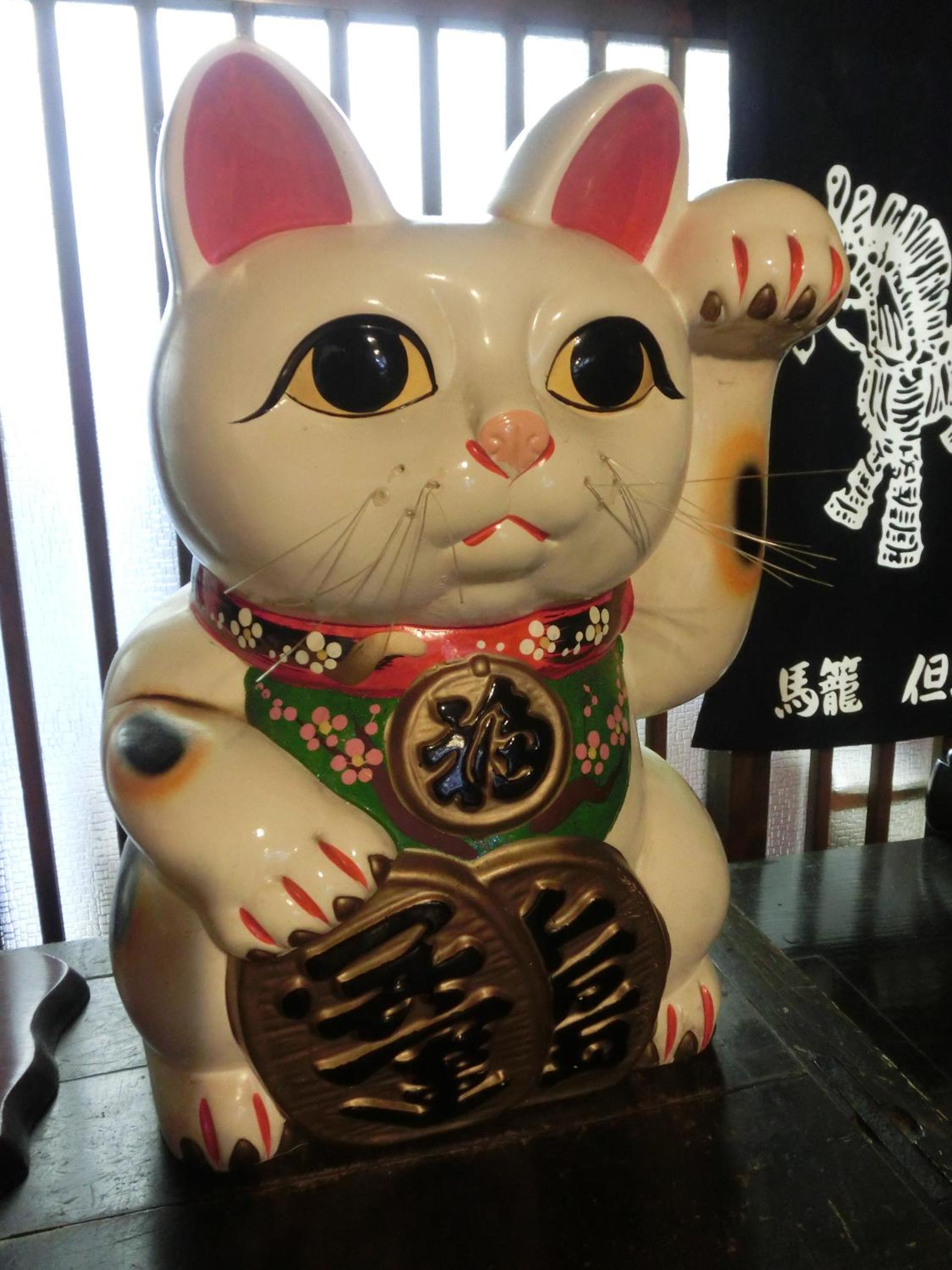 Photo 41