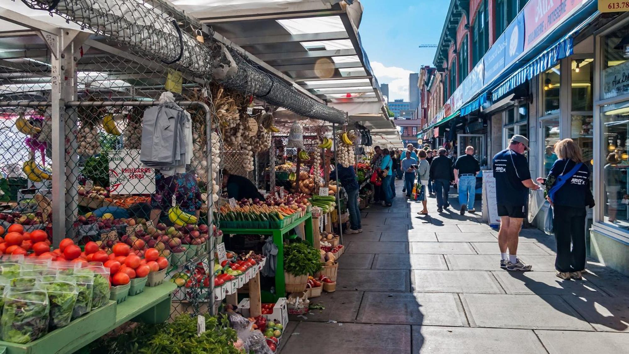 Pet-Friendly - Near University & Byward Market