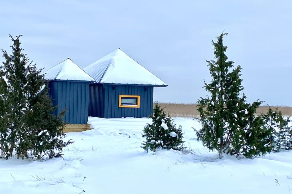 Japandi Guesthouse in Muhu