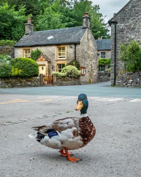 Duck Cottage, Milldale, Nr Dovedale, Peak District