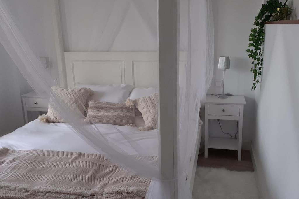 Casa completa Loredo Beach