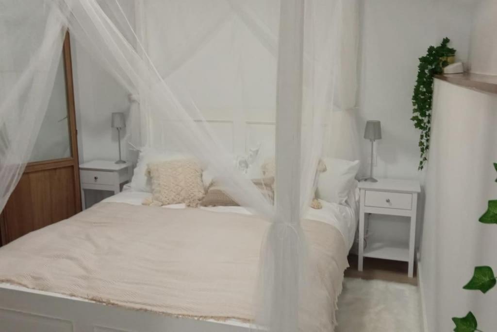 Casa completa Loredo Beach