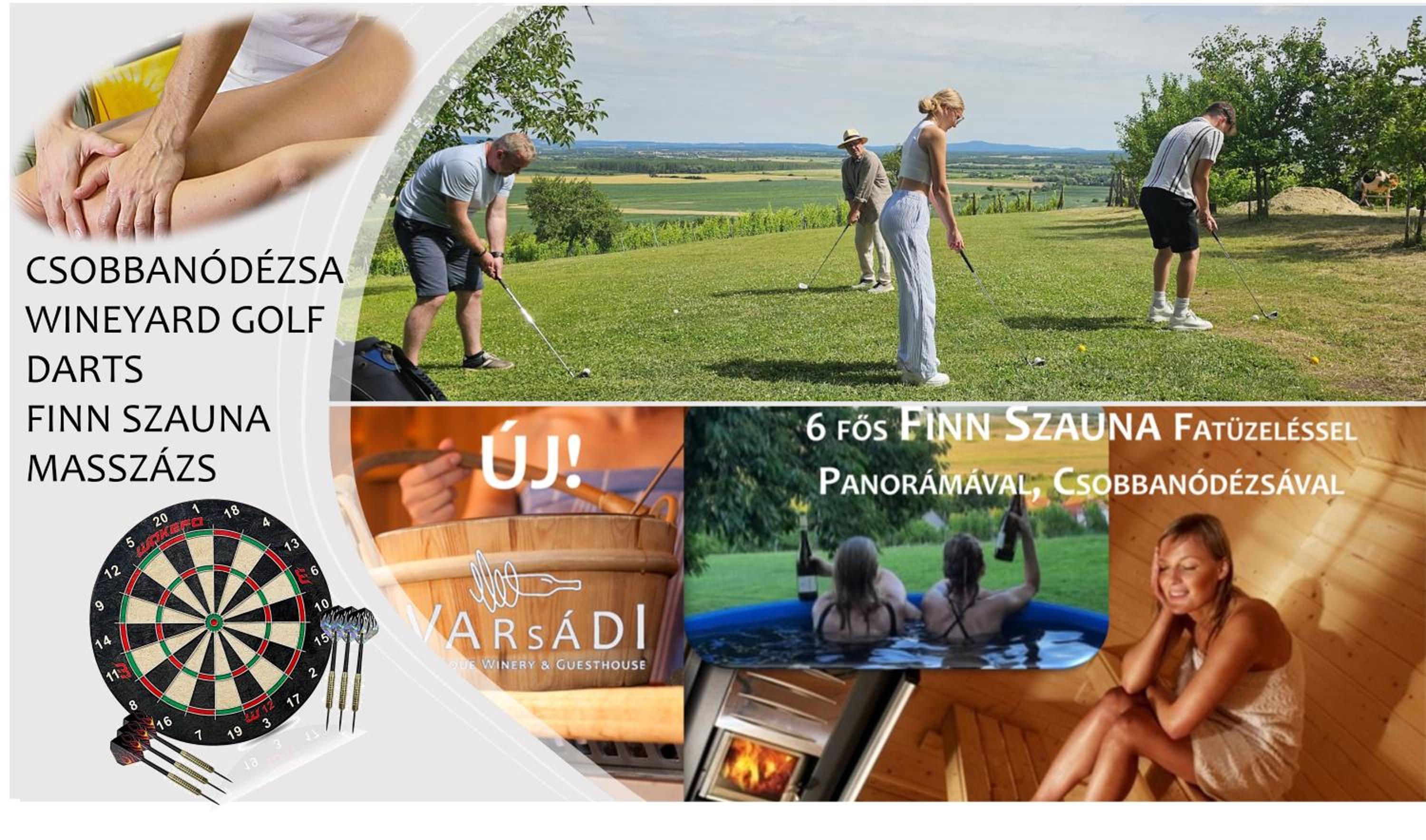 Juhfark Apartman Varsádi Wineyard view 3