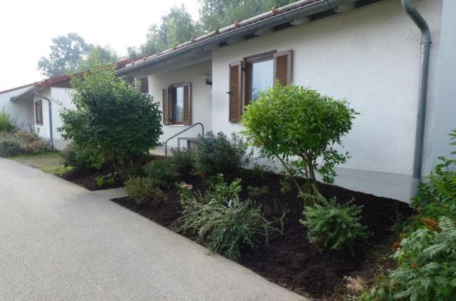 Ferienpark im schönen Falkenstein 2