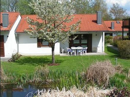 Ferienpark im schönen Falkenstein 5