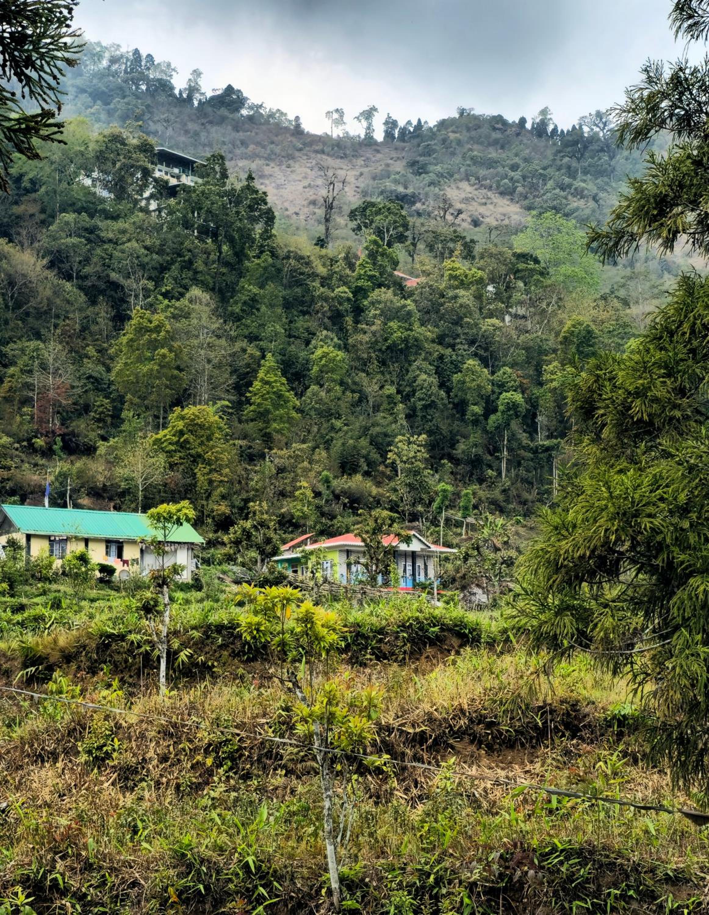 Trip n Trail eco-stay