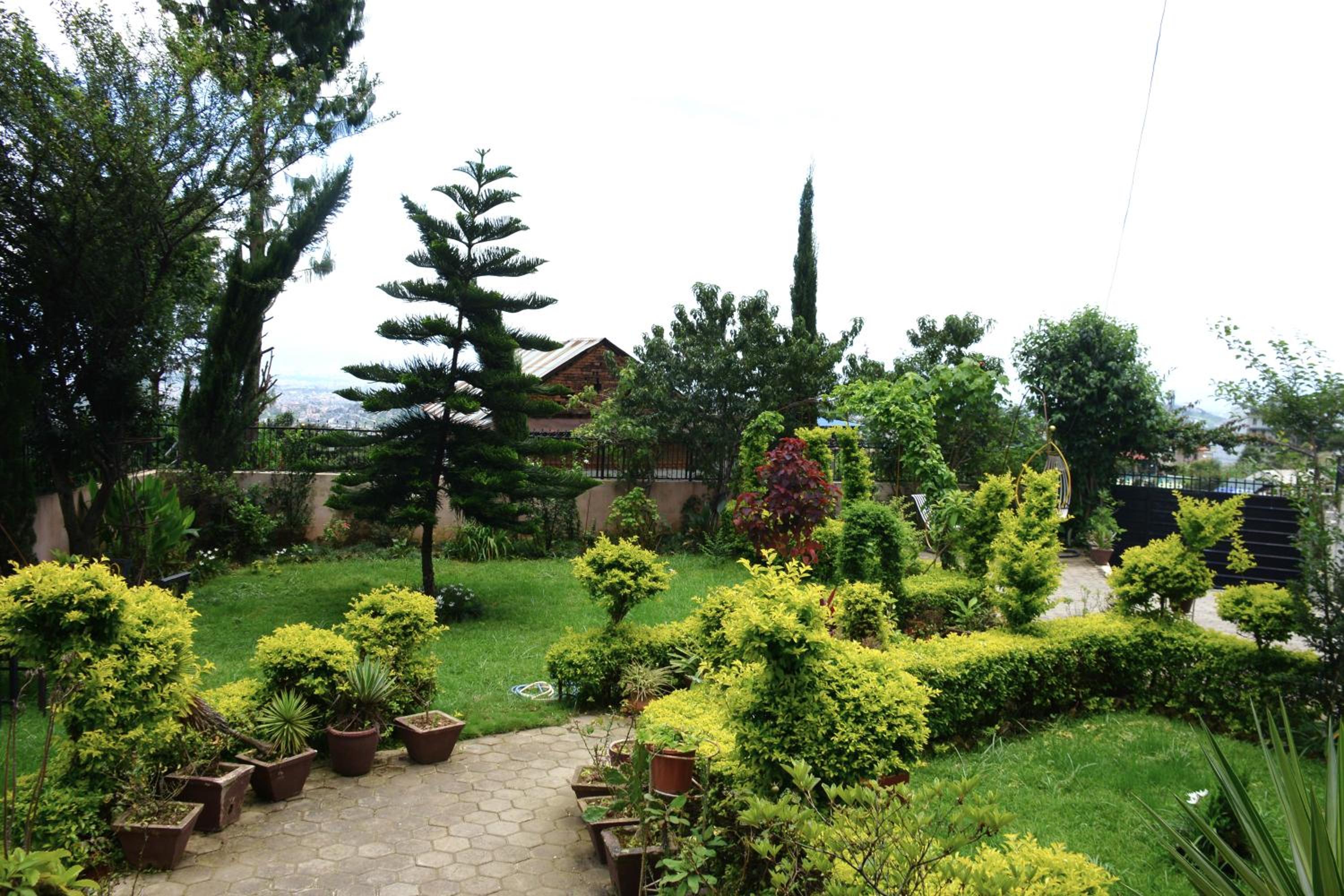 Beautiful house and garden view 5
