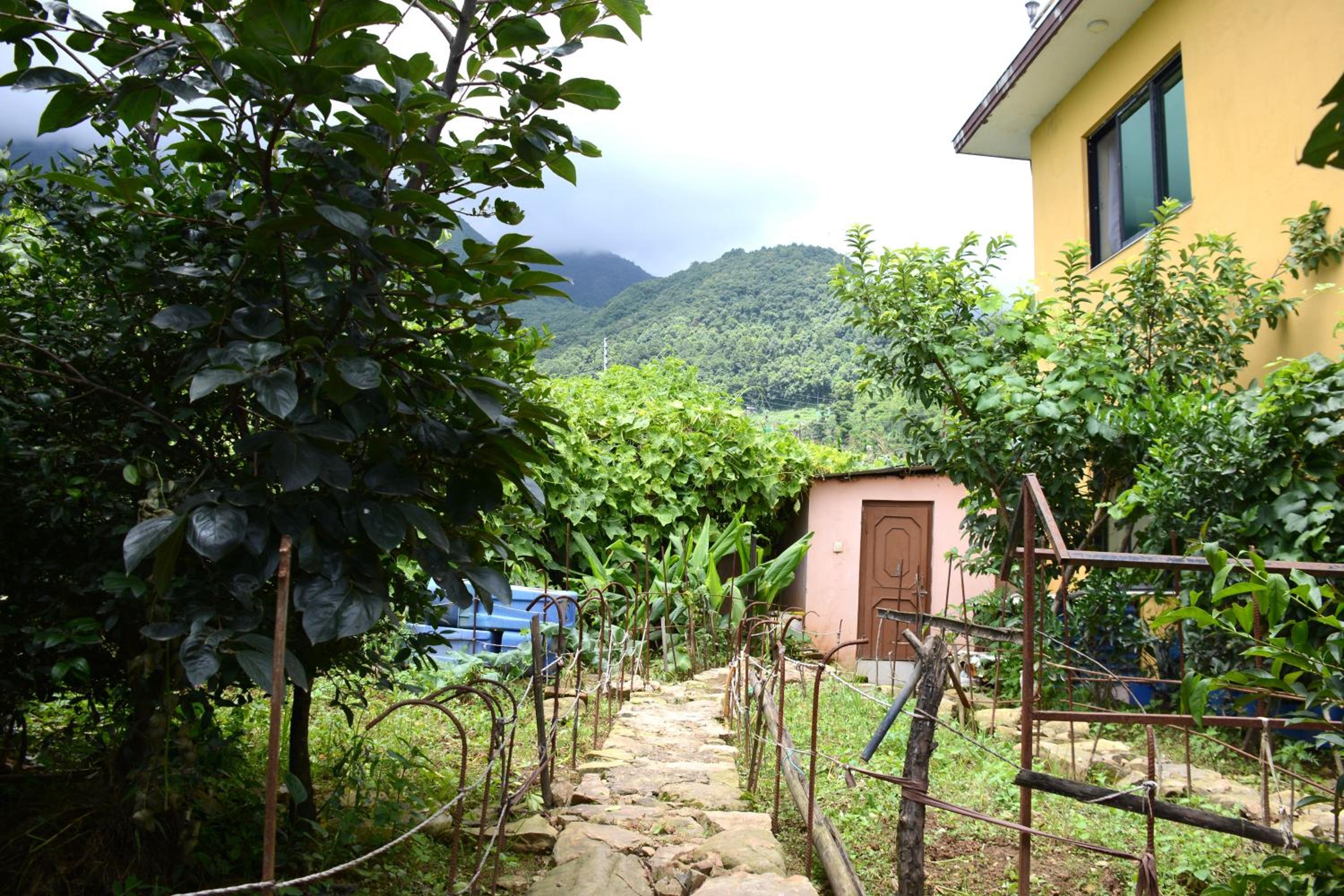 Photo 26