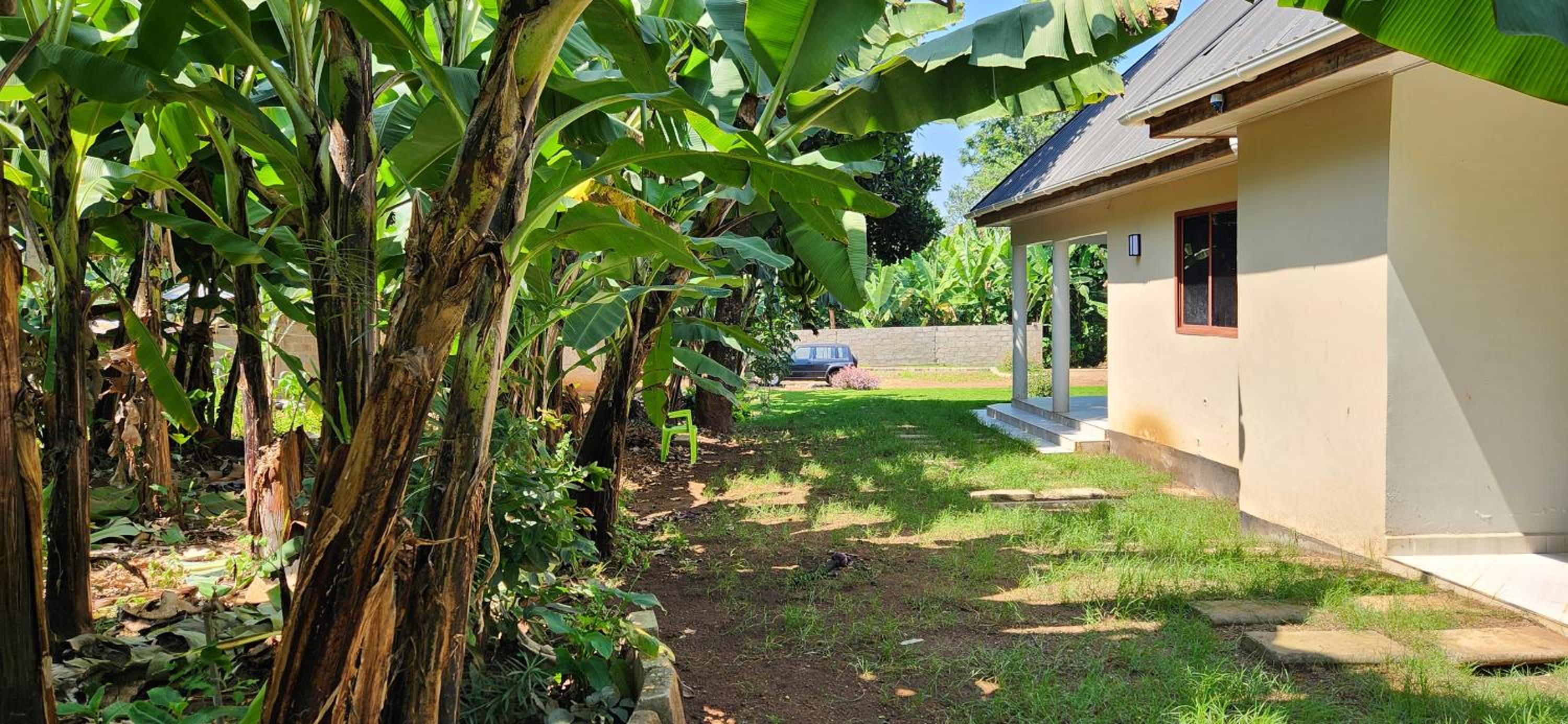Green Haven Retreat in Moshi view 4