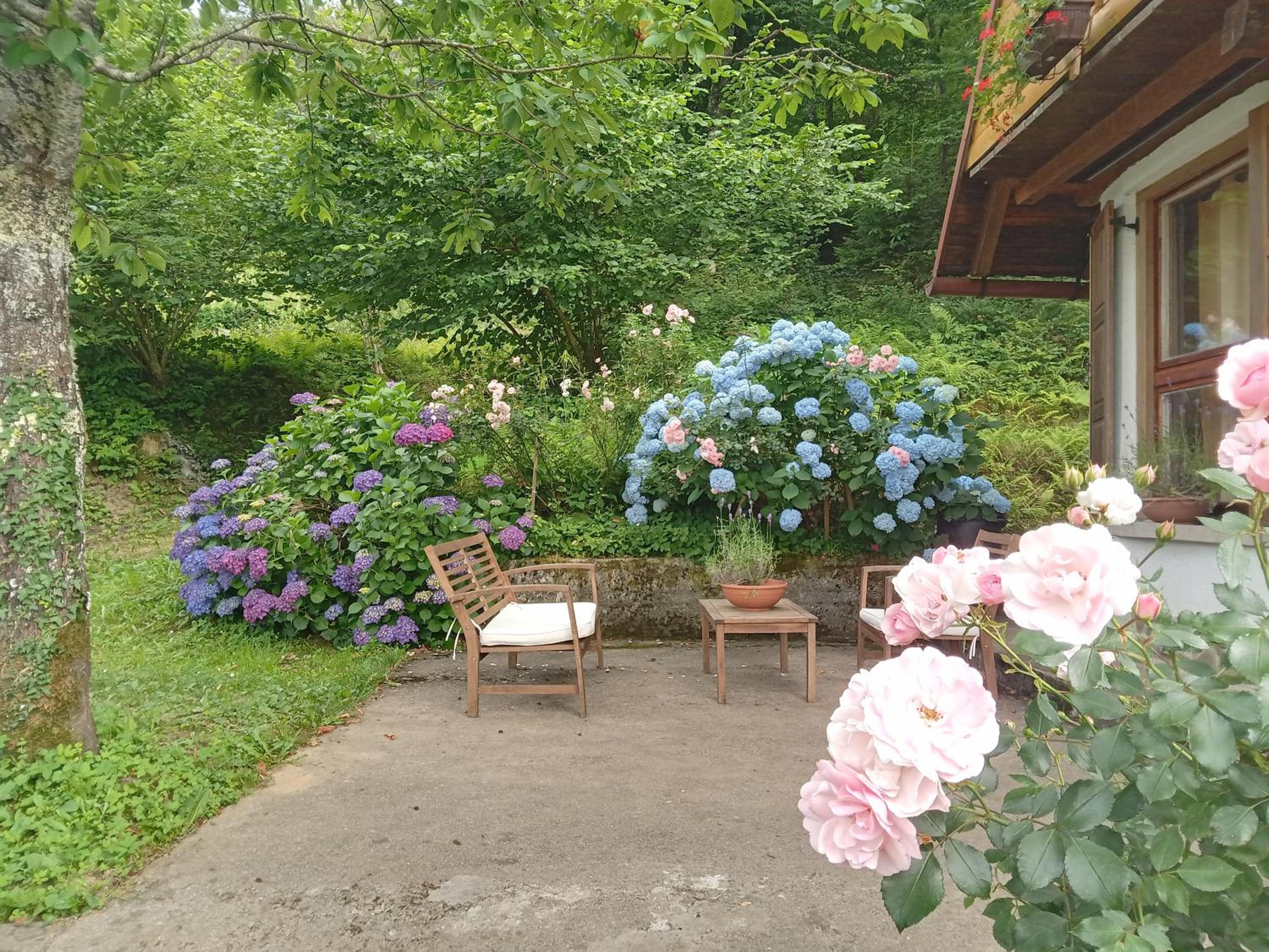 Photo 33