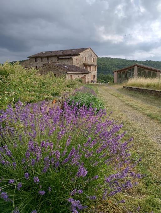 Podere Biricocolo - Il Cortile photo 4