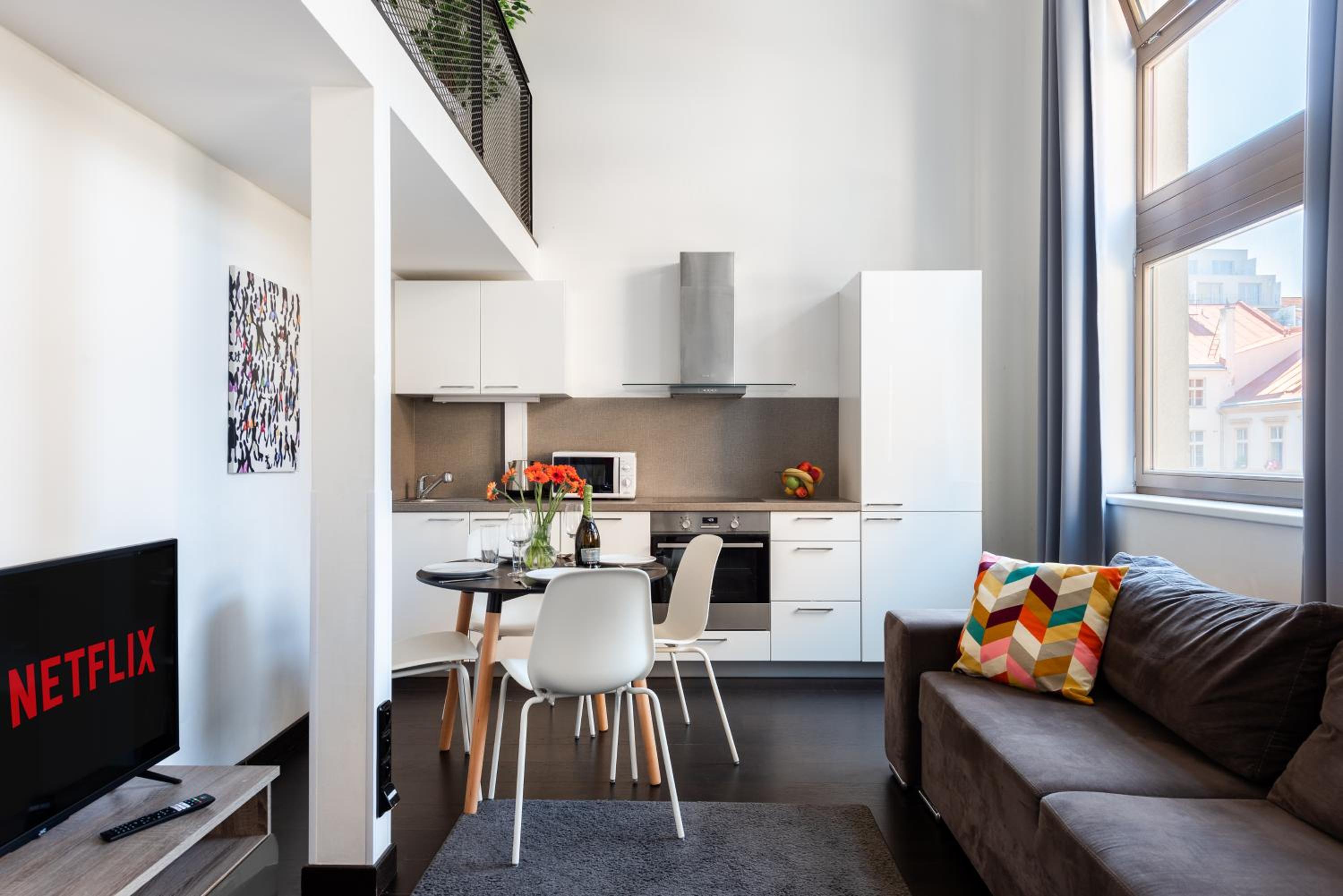 Spacious apartments near Karlín Square