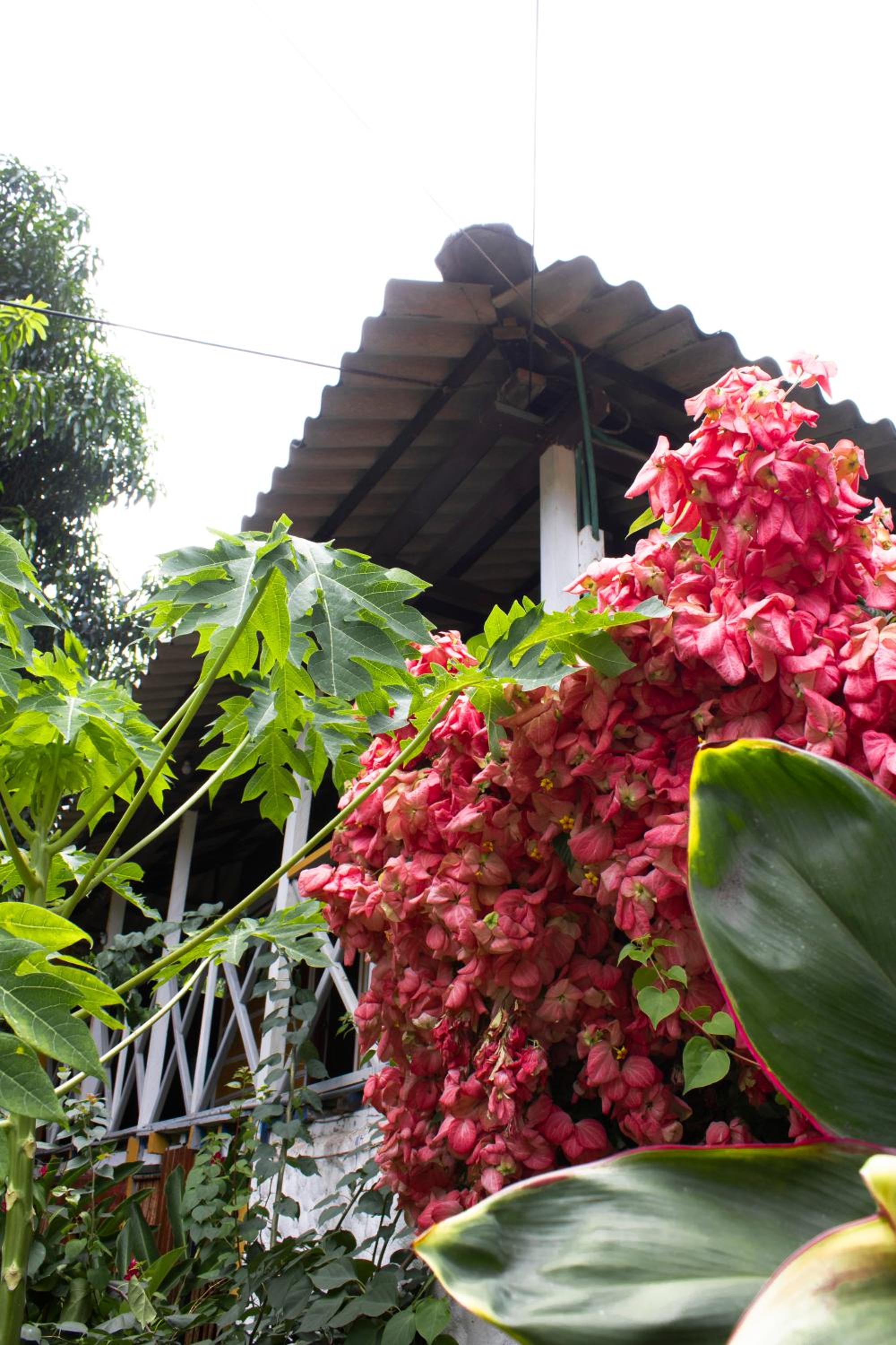 WAYANAY TAYRONA ECO HOSTEL