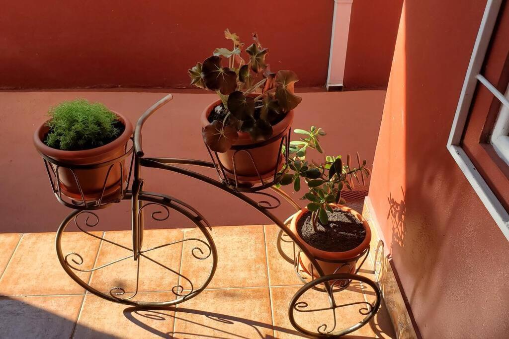Sergio's House