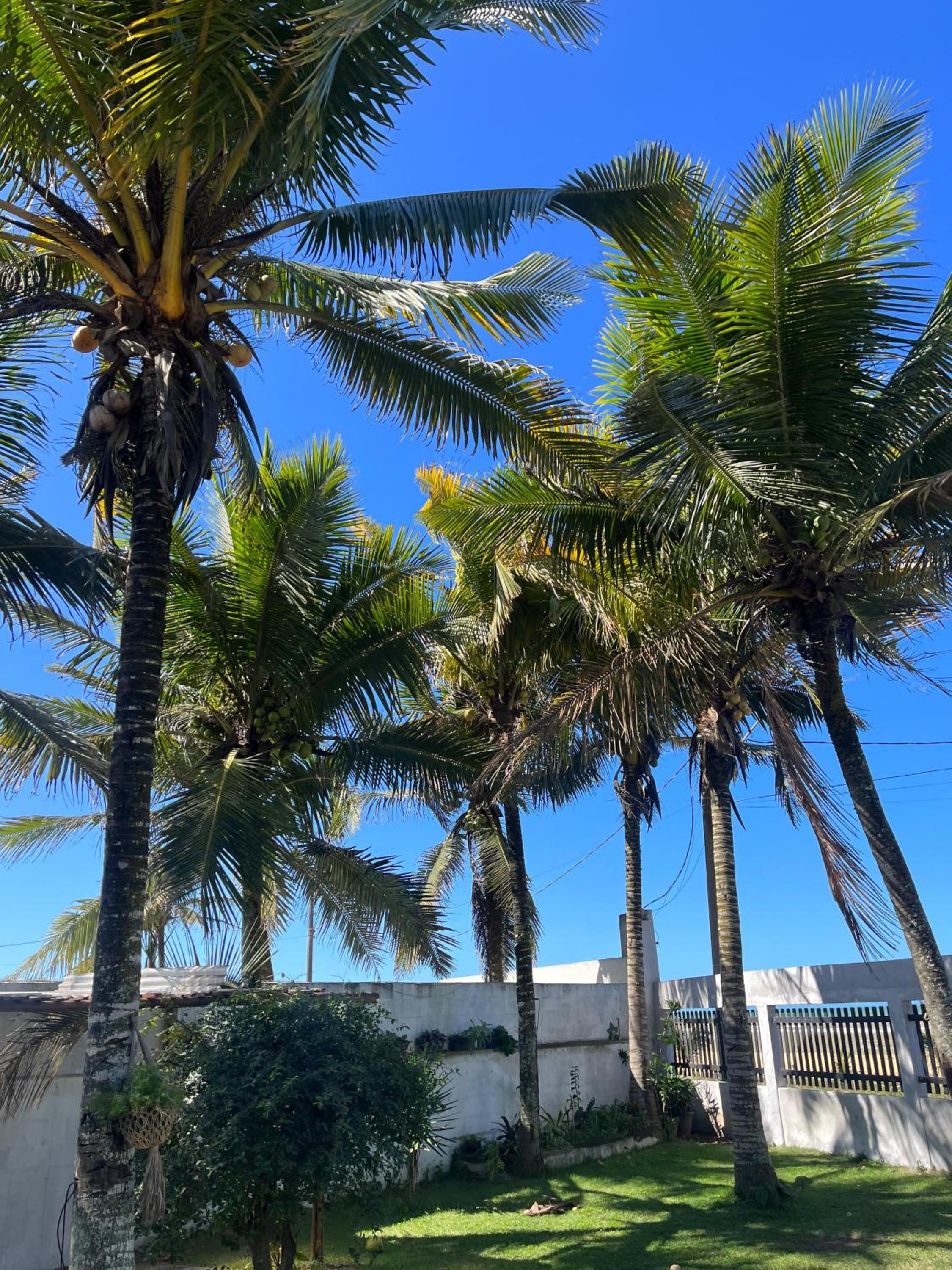 Casa da Ponta da Fruta