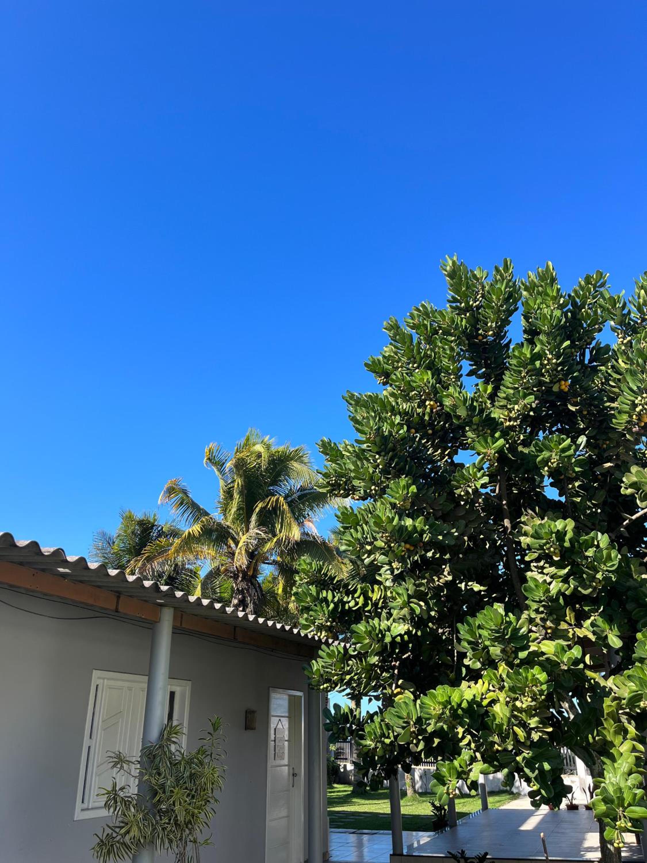 Casa da Ponta da Fruta