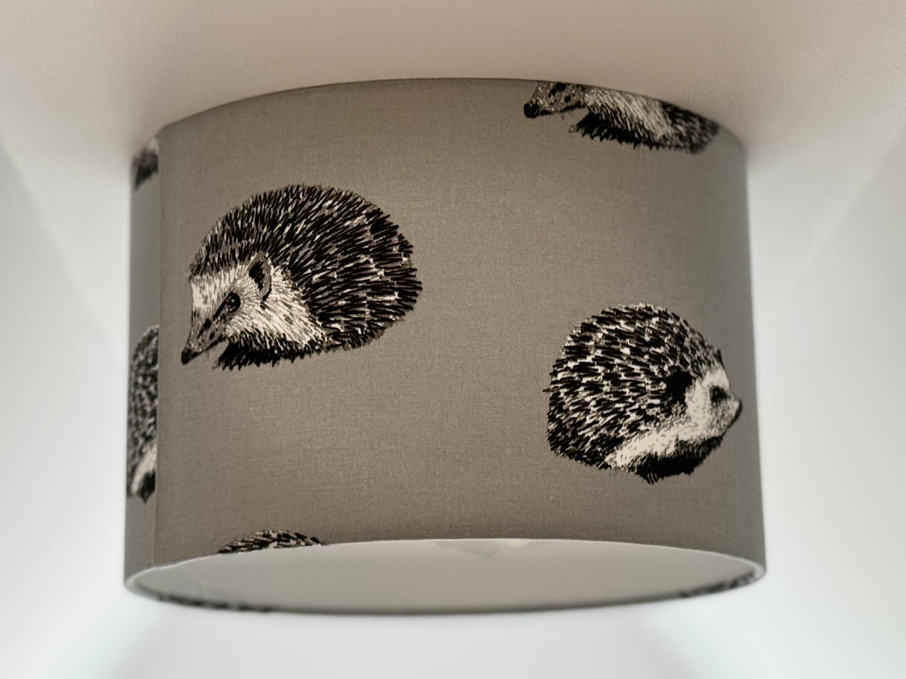 Hedgehog Cottage Cosy Countryside Escape