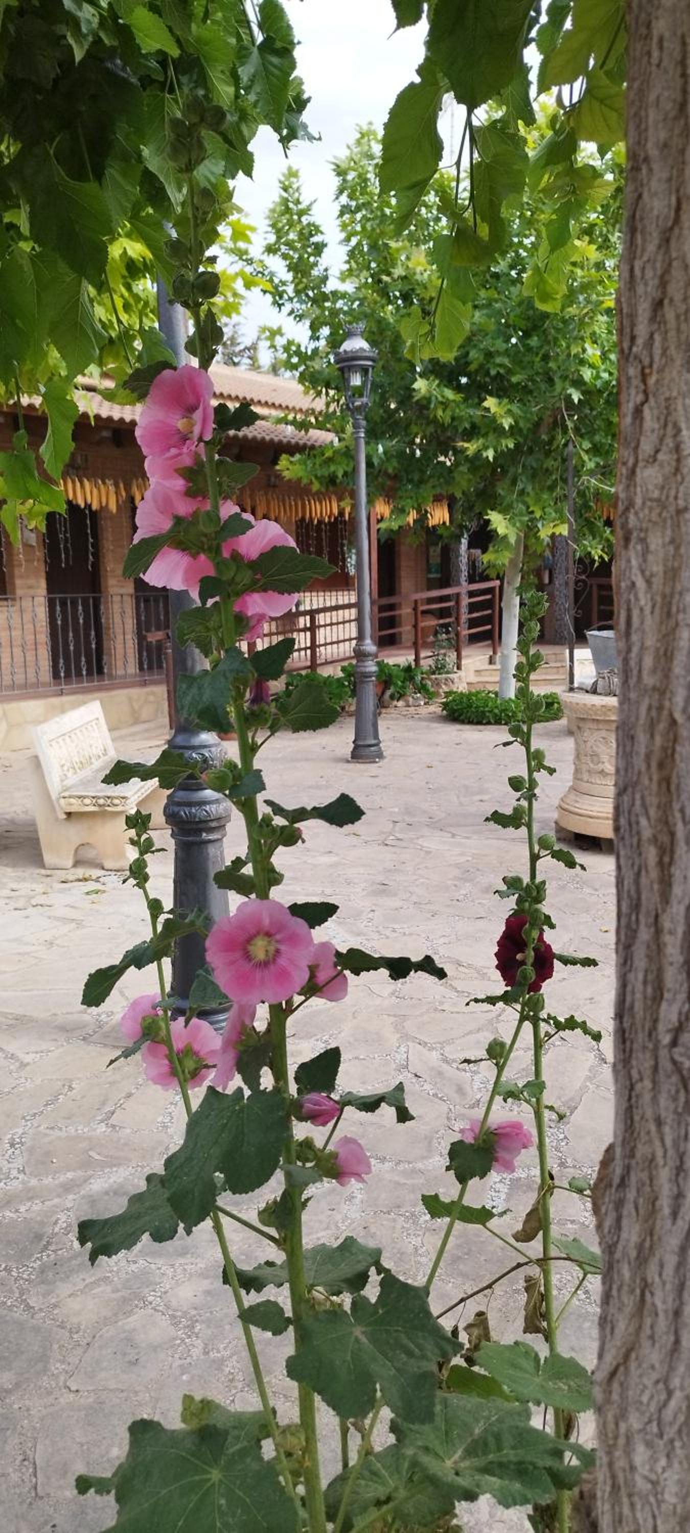 Photo 43