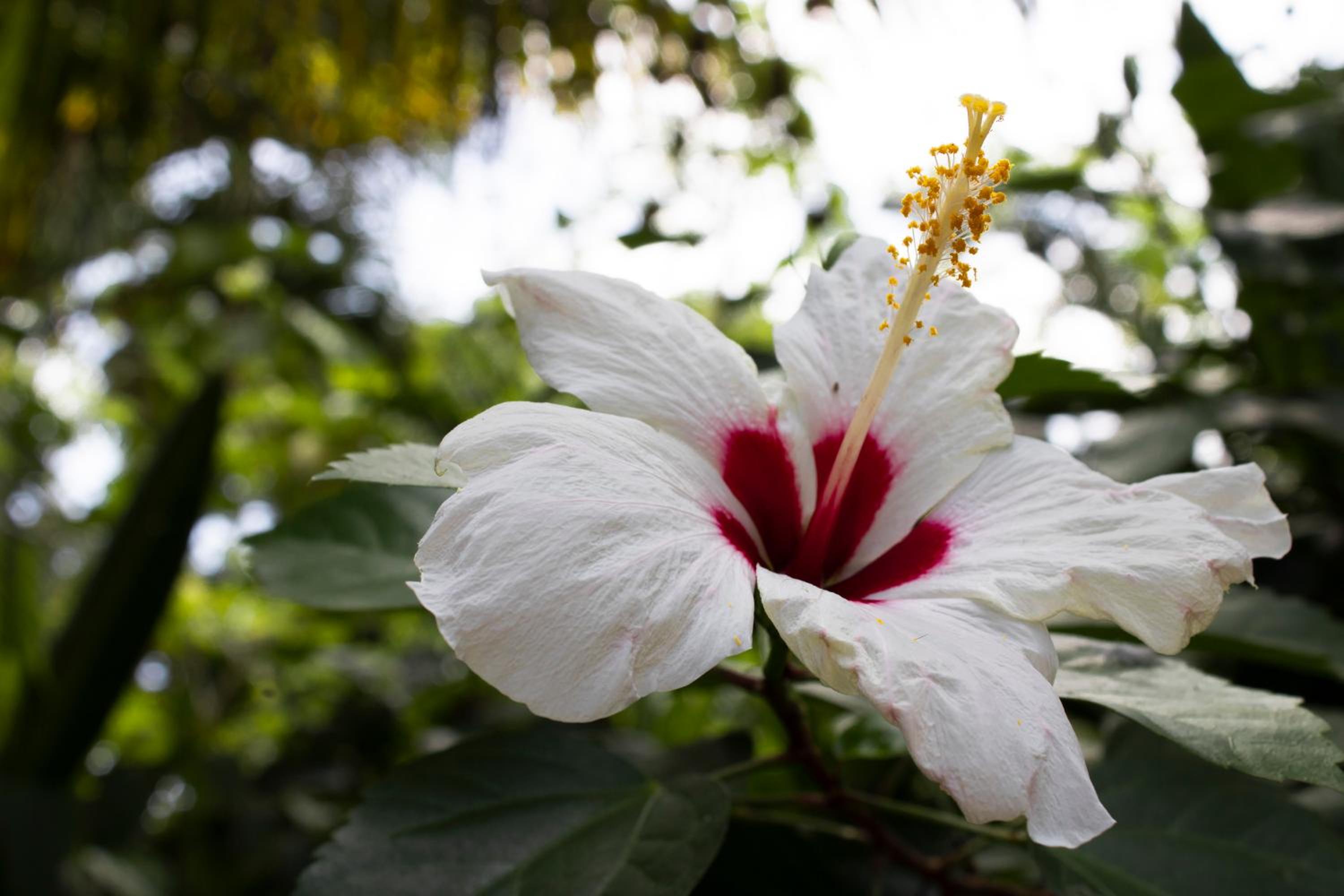 WAYANAY TAYRONA ECO HOSTEL